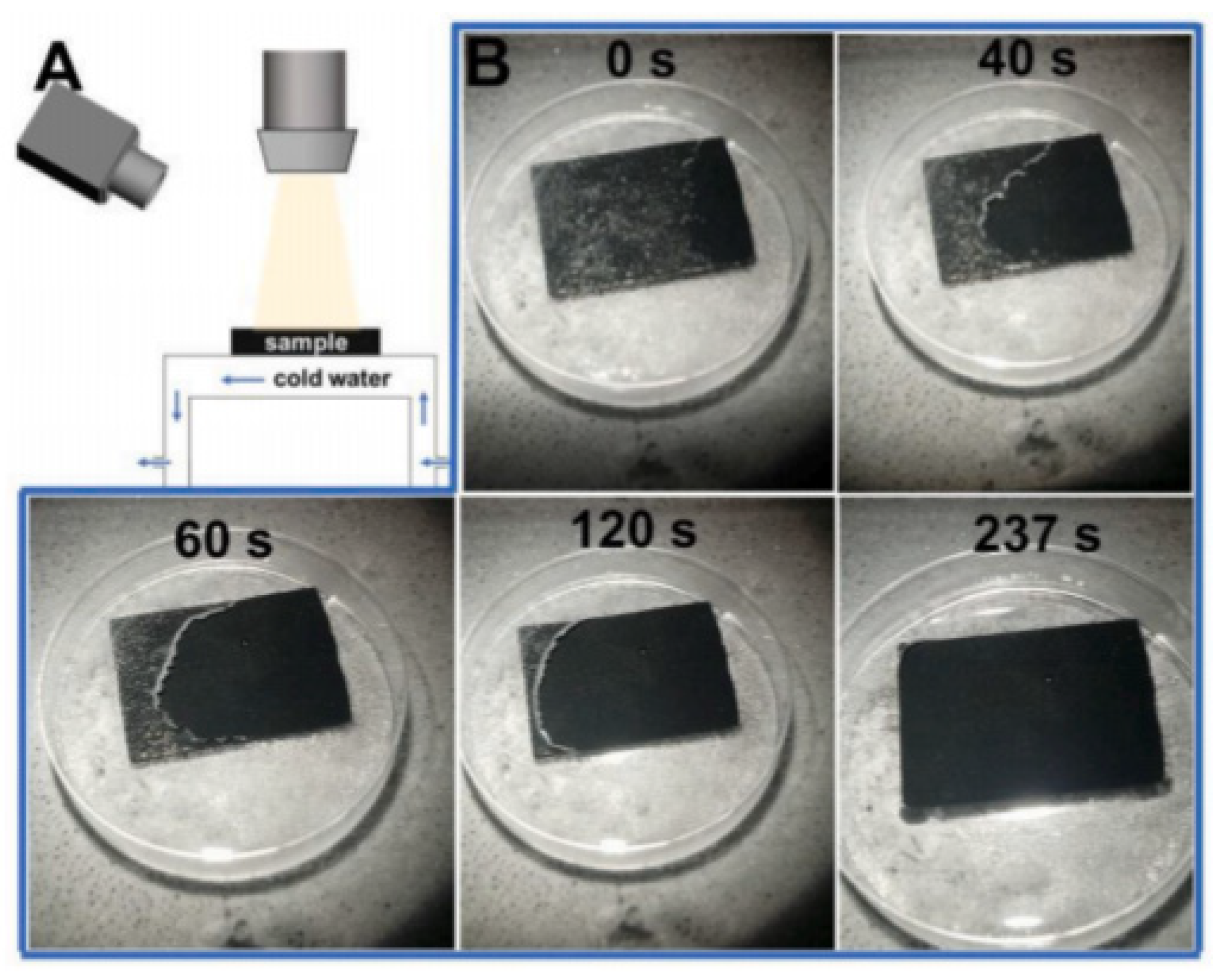 Polymers 13 04149 g008