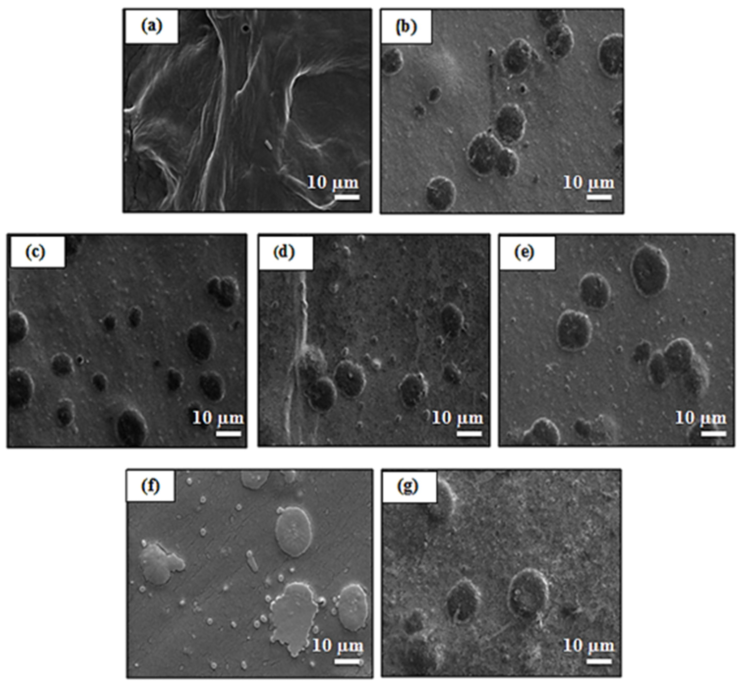 Polymers 13 04153 g002