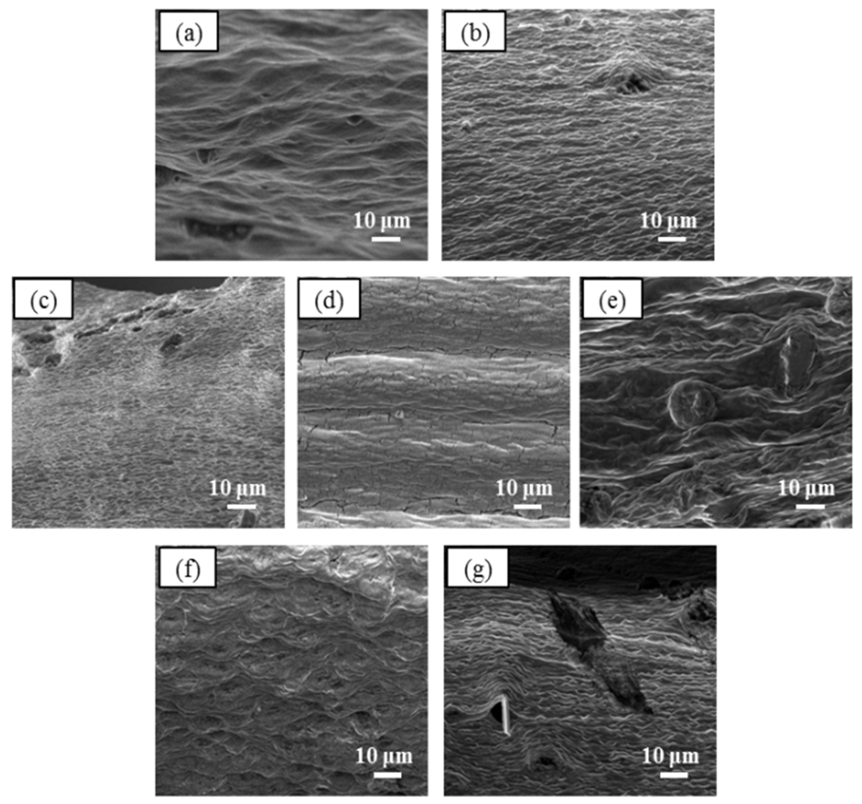 Polymers 13 04153 g003