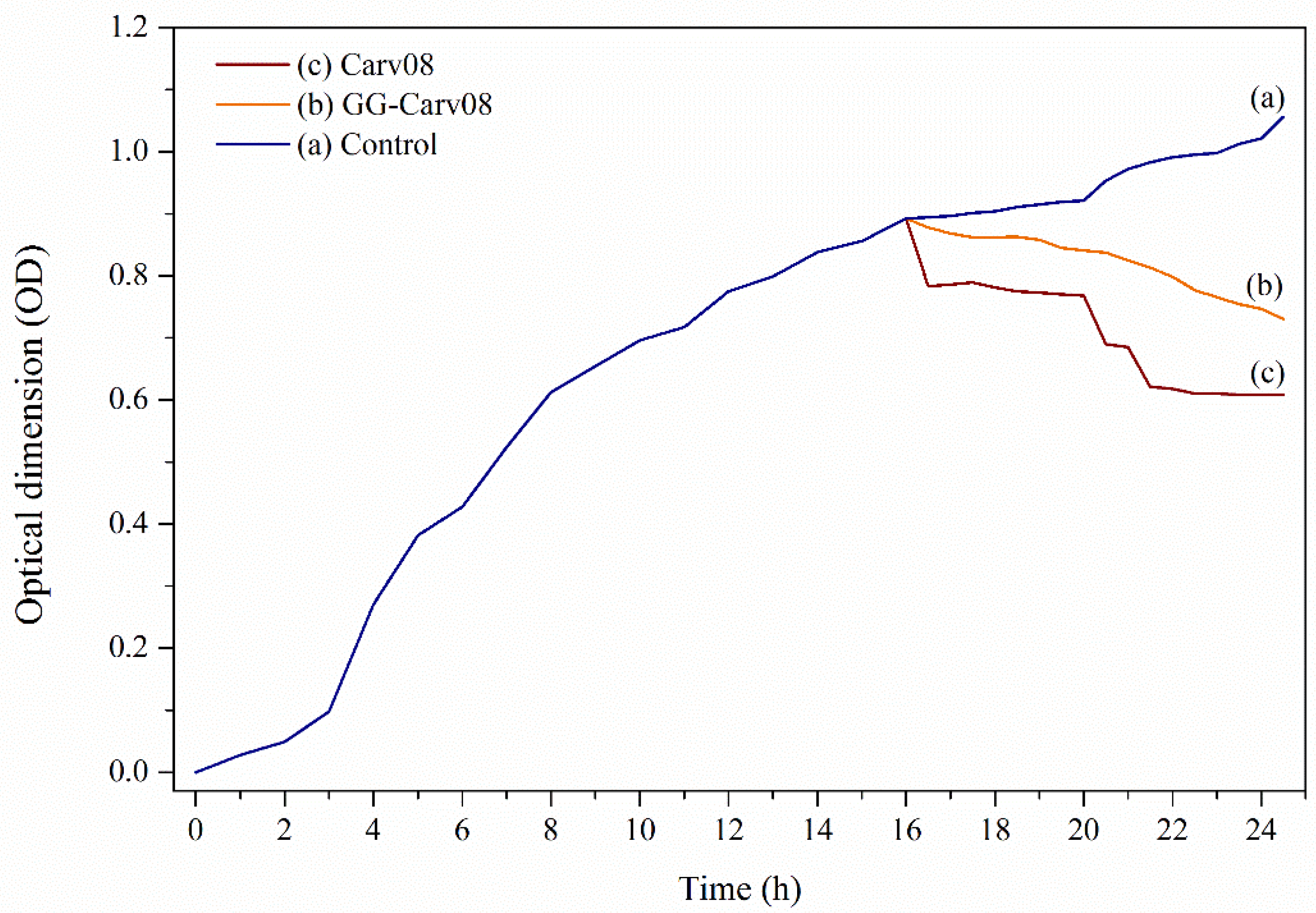 Polymers 13 04153 g007