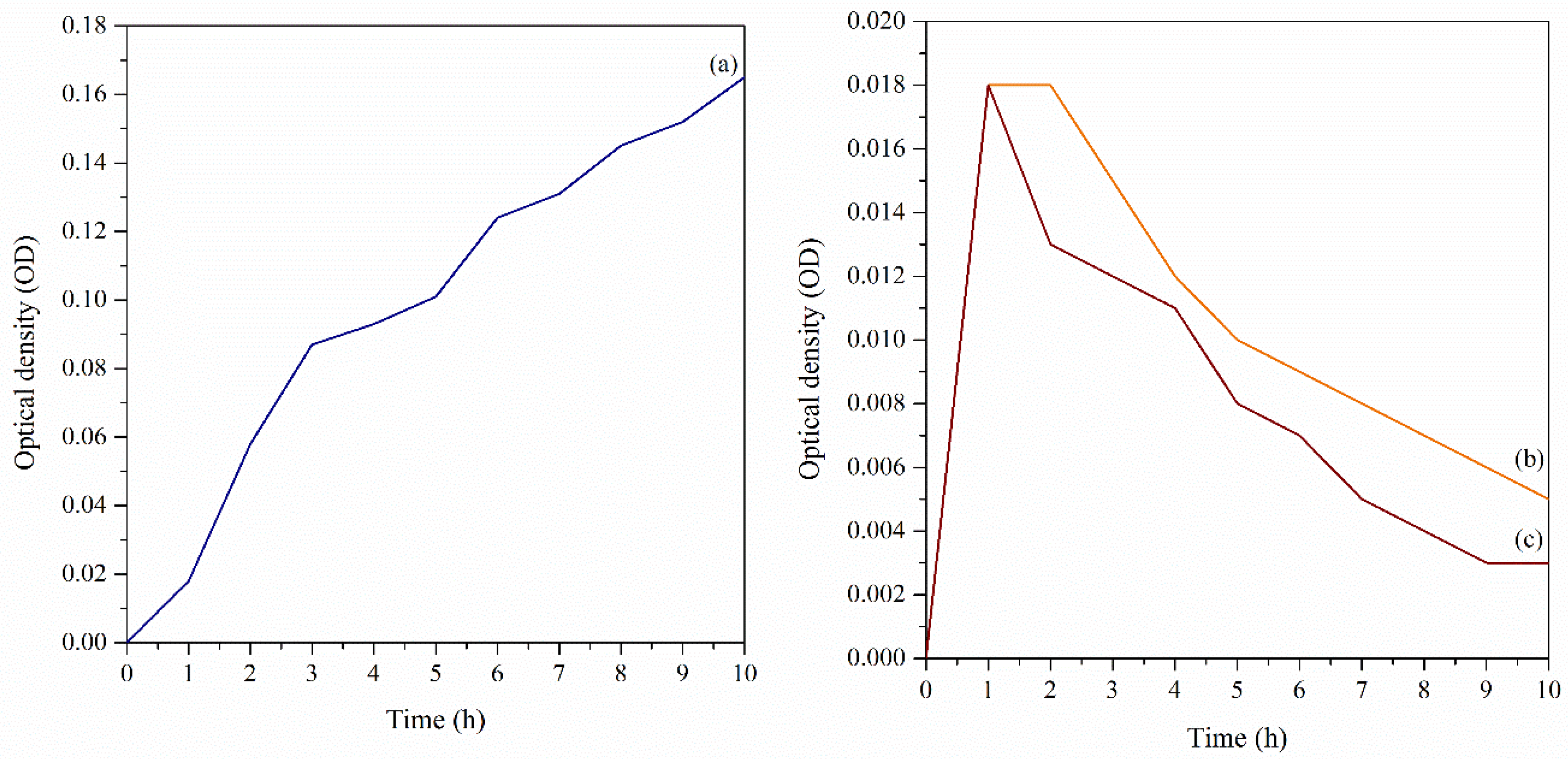 Polymers 13 04153 g008