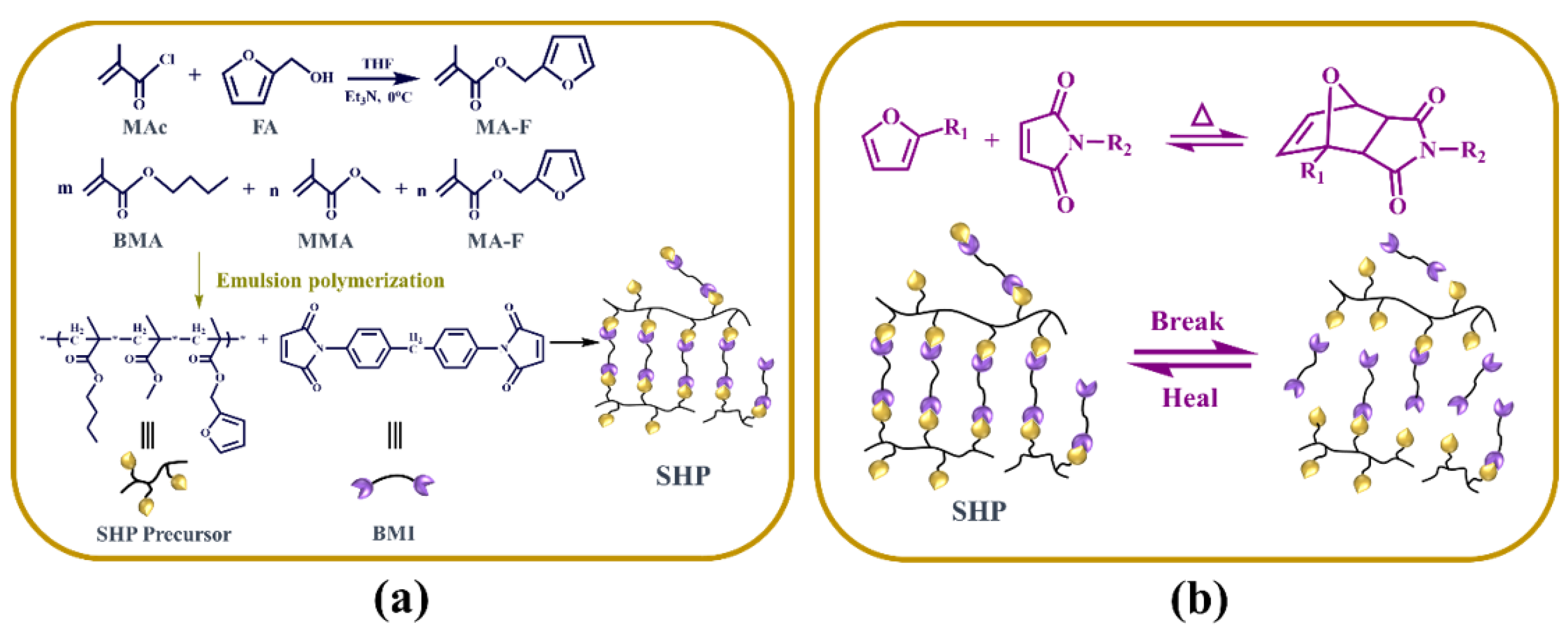 Polymers 13 04155 g001