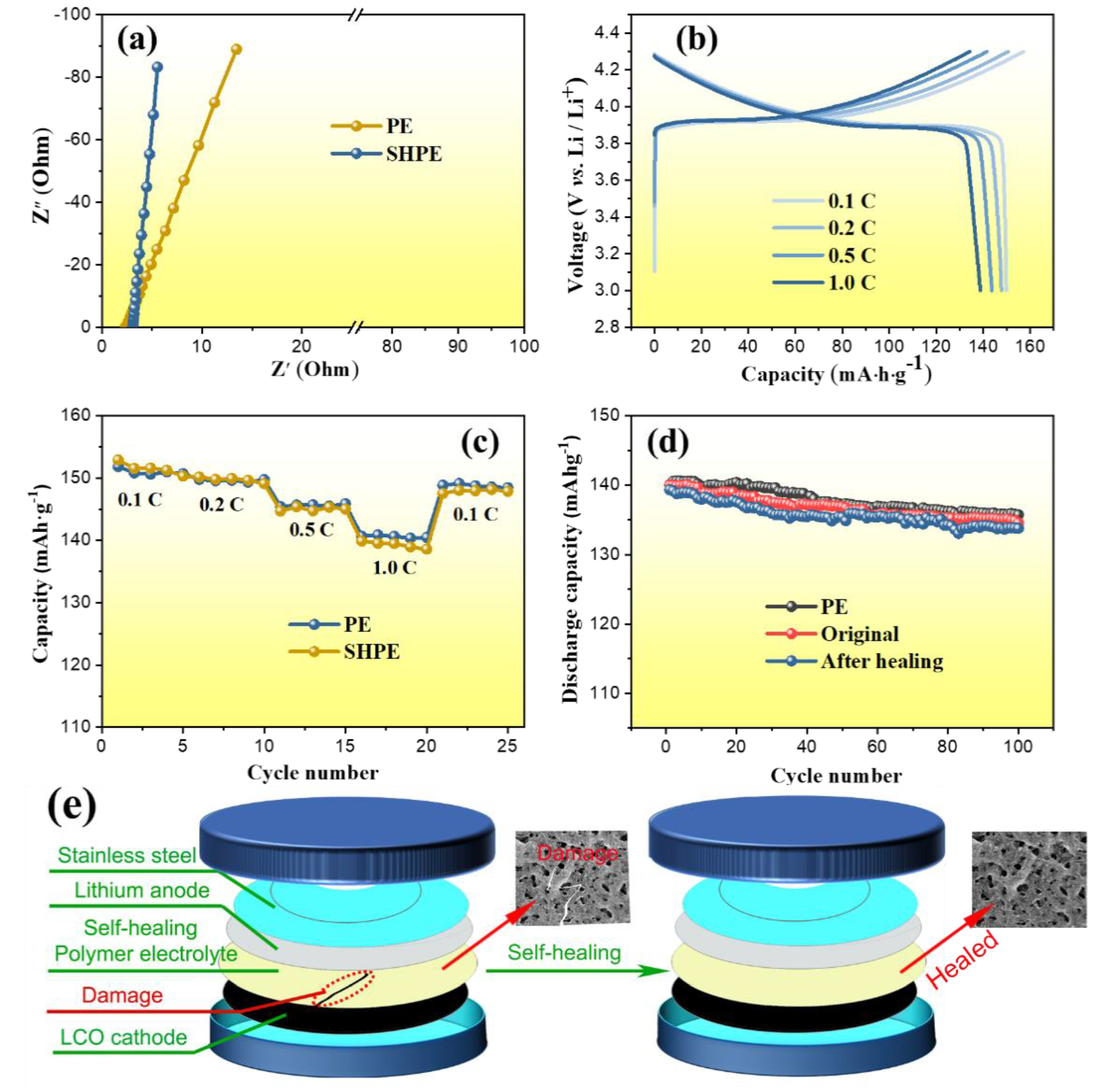 Polymers 13 04155 g006