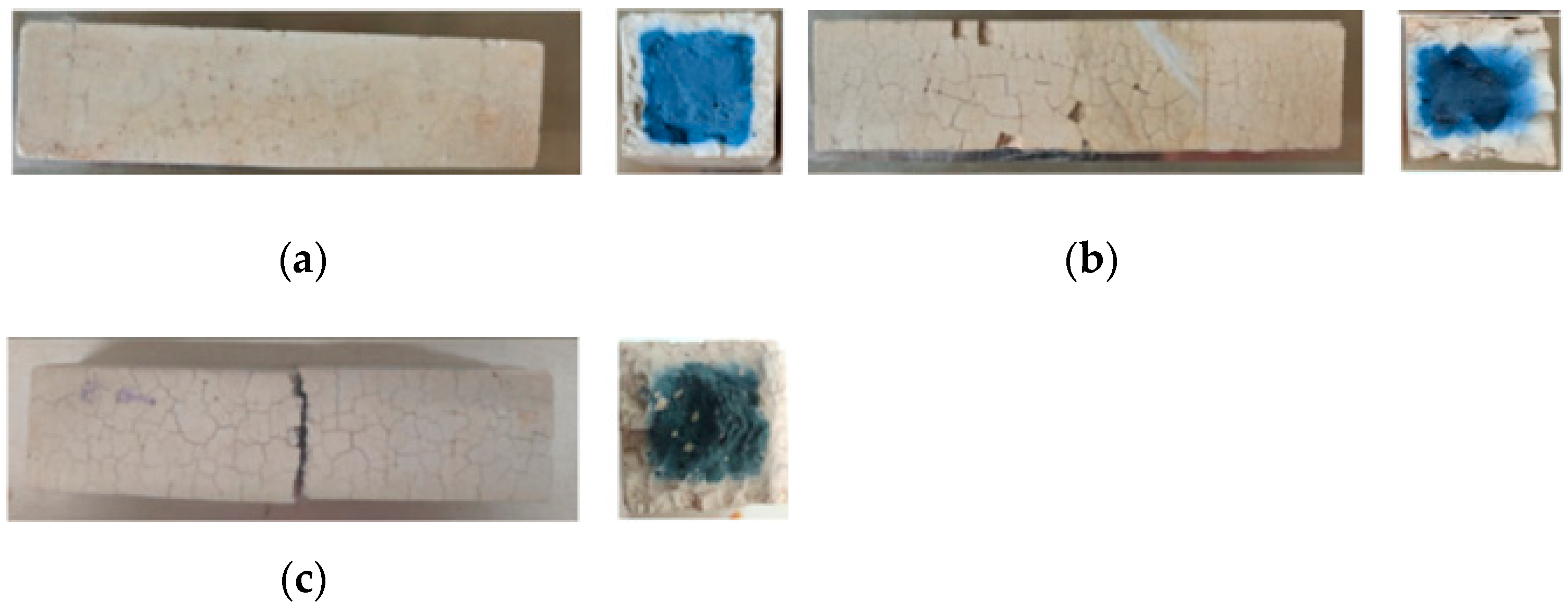 Polymers 13 04160 g003