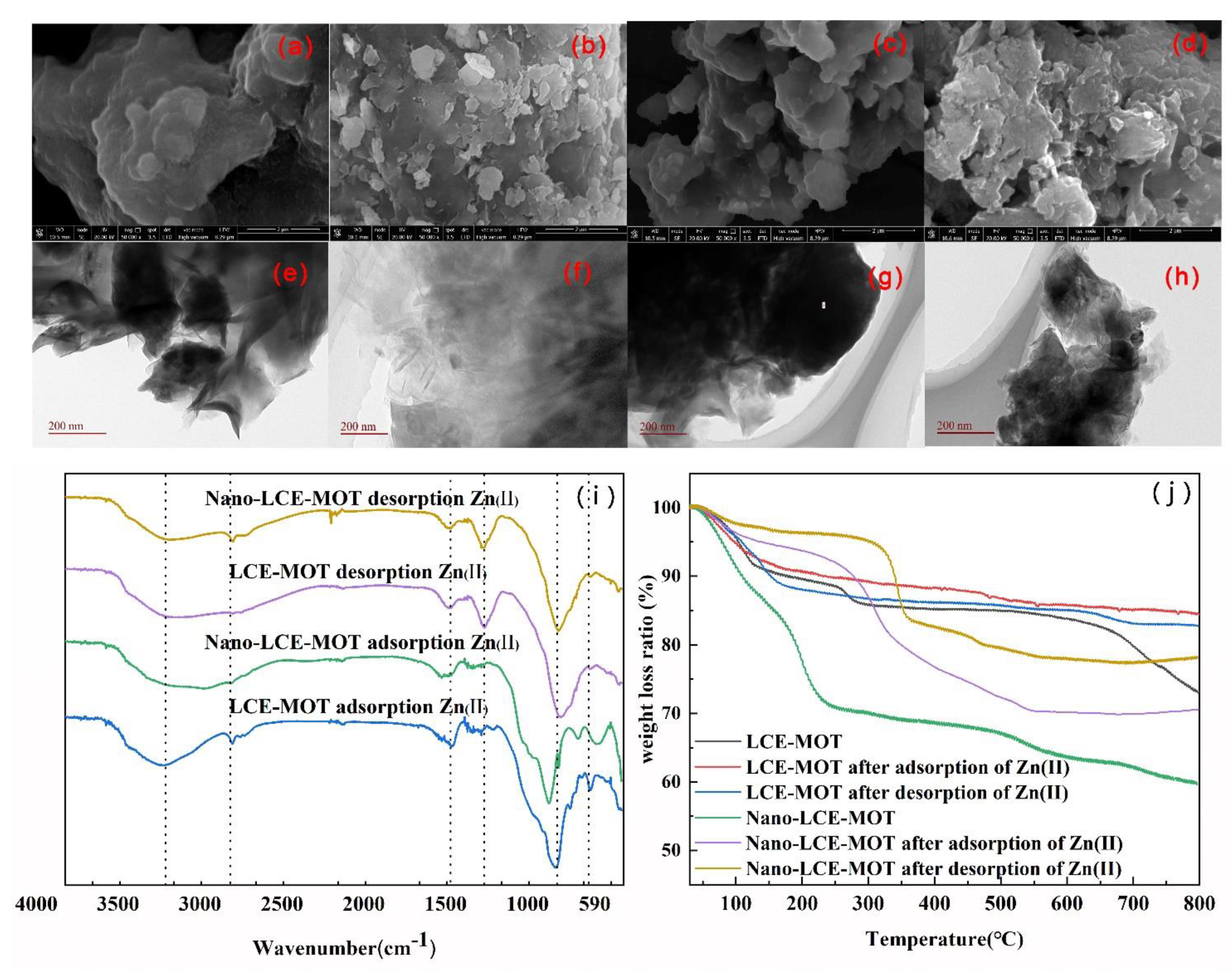 Polymers 13 04161 g008