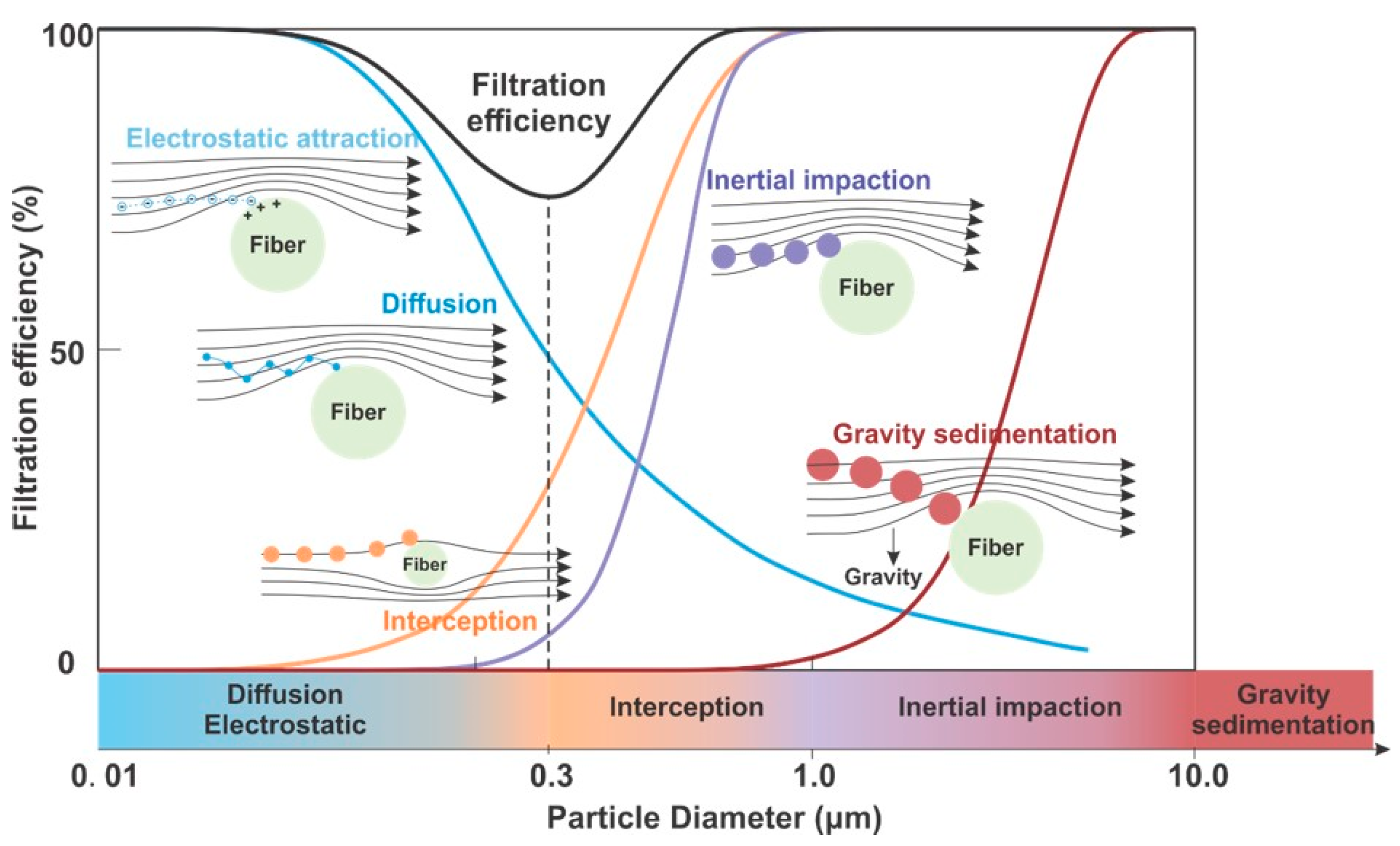 Polymers 13 04165 g003
