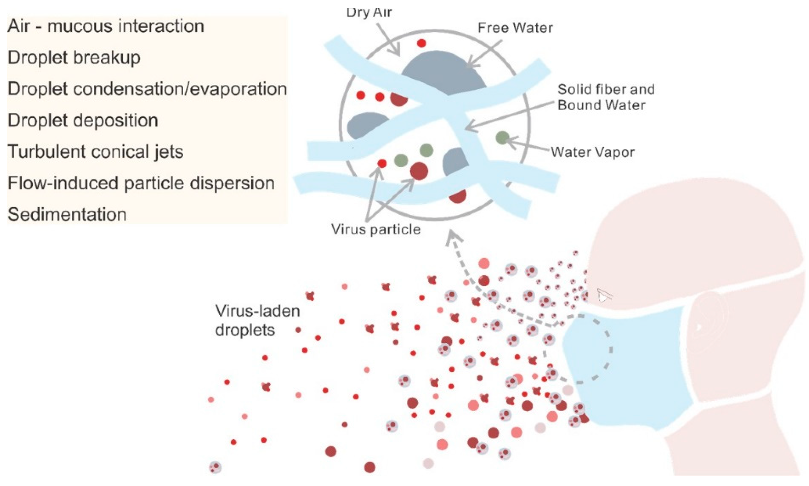 Polymers 13 04165 g004