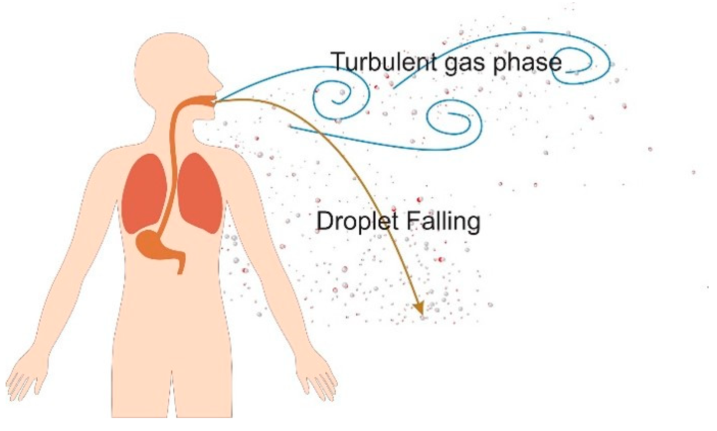 Polymers 13 04165 g005