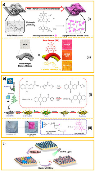 Polymers 13 04165 g009