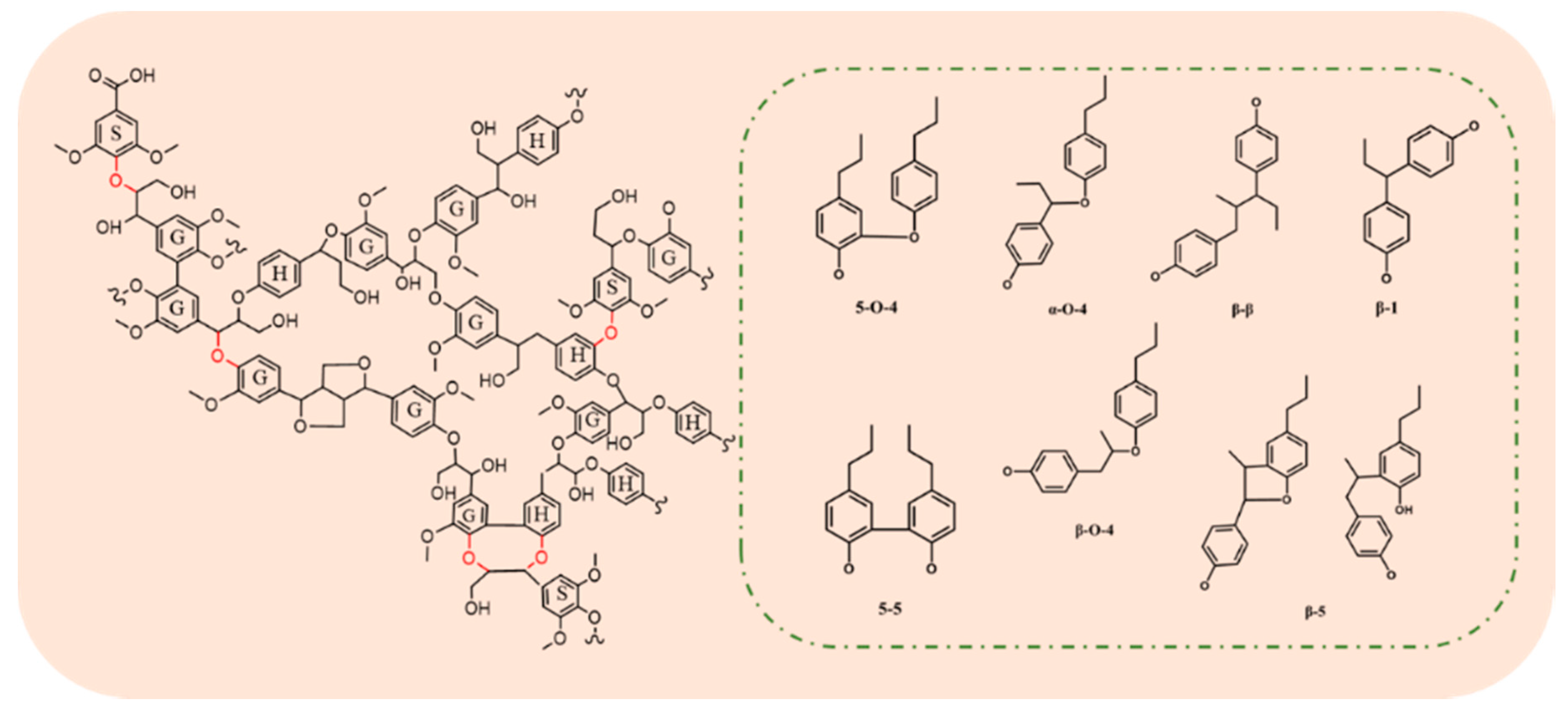 Polymers 13 04166 g001