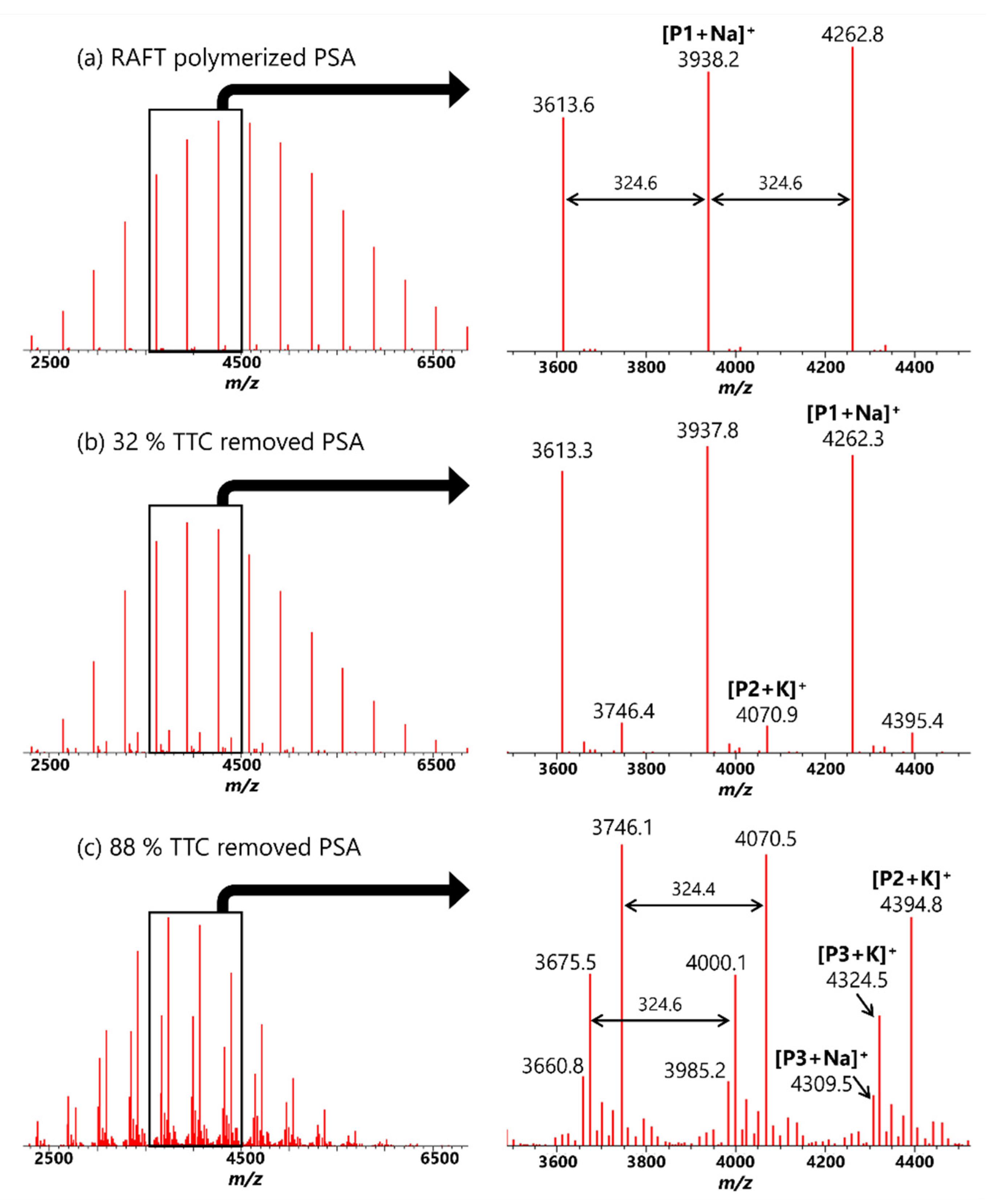 Polymers 13 04169 g004