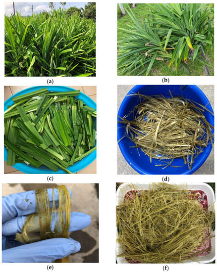 Polymers 13 04171 g001a 550