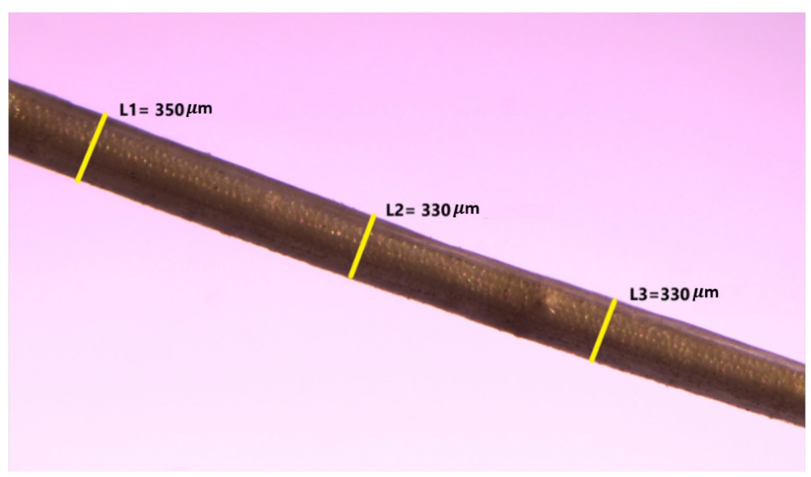 Polymers 13 04171 g003