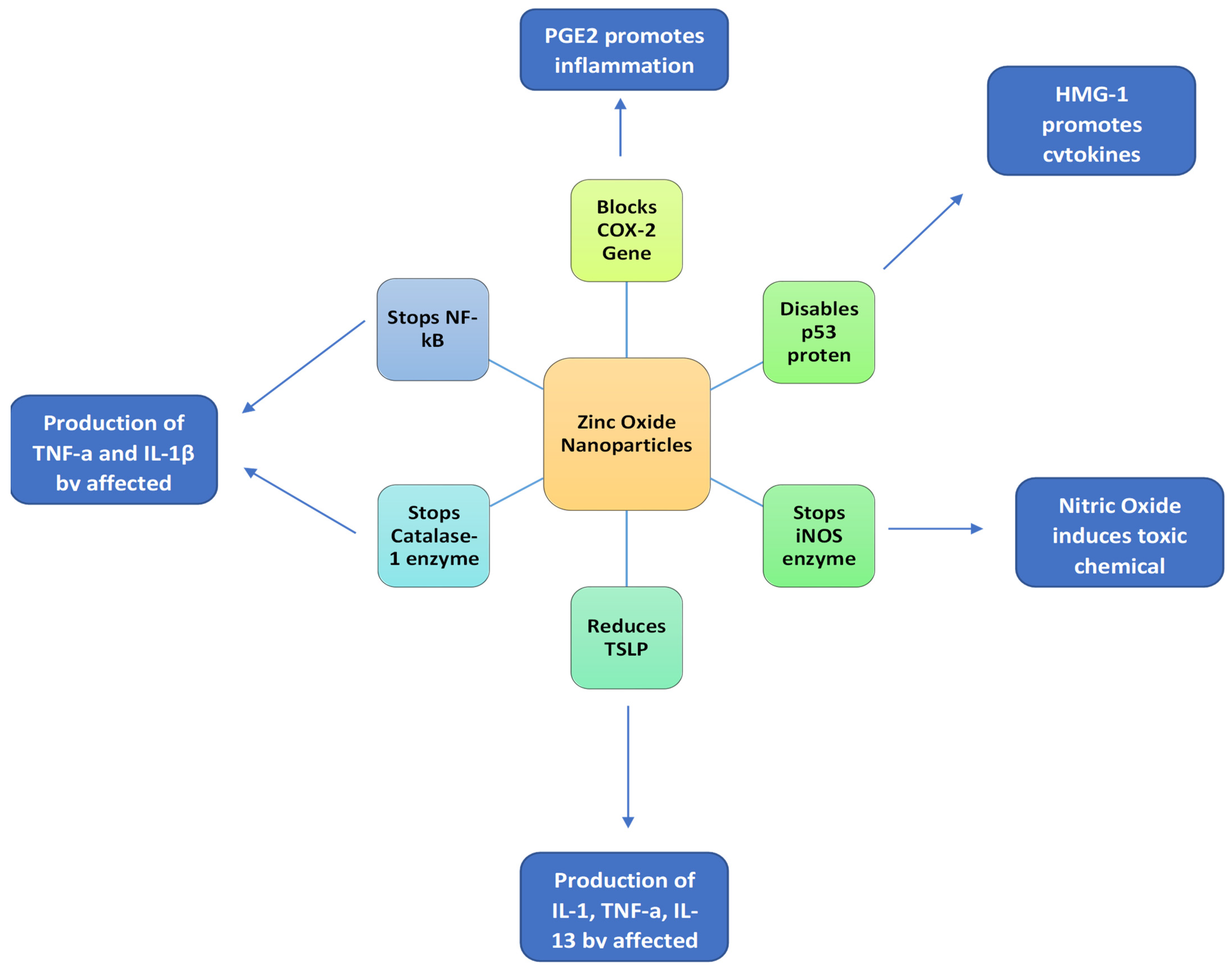 Polymers 13 04175 g004