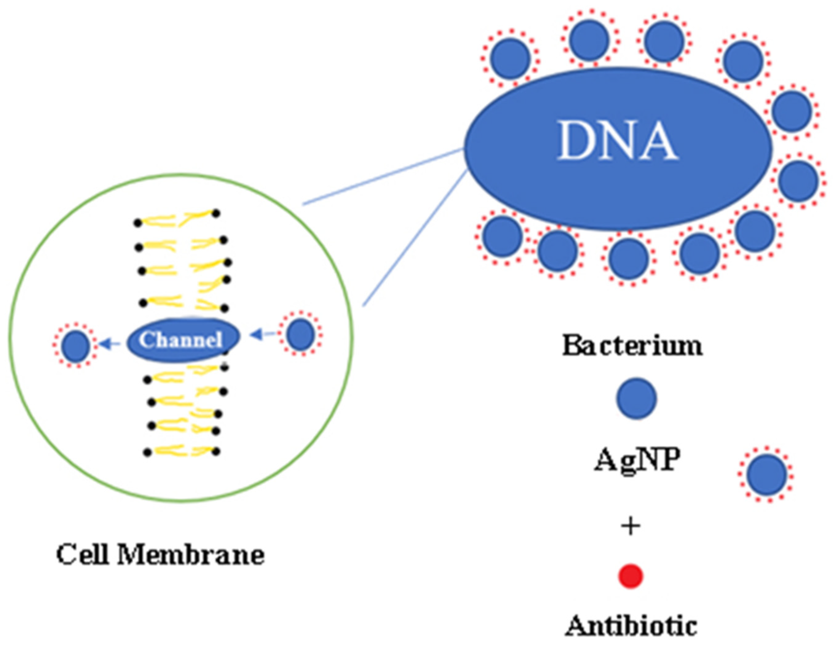 Polymers 13 04175 g005