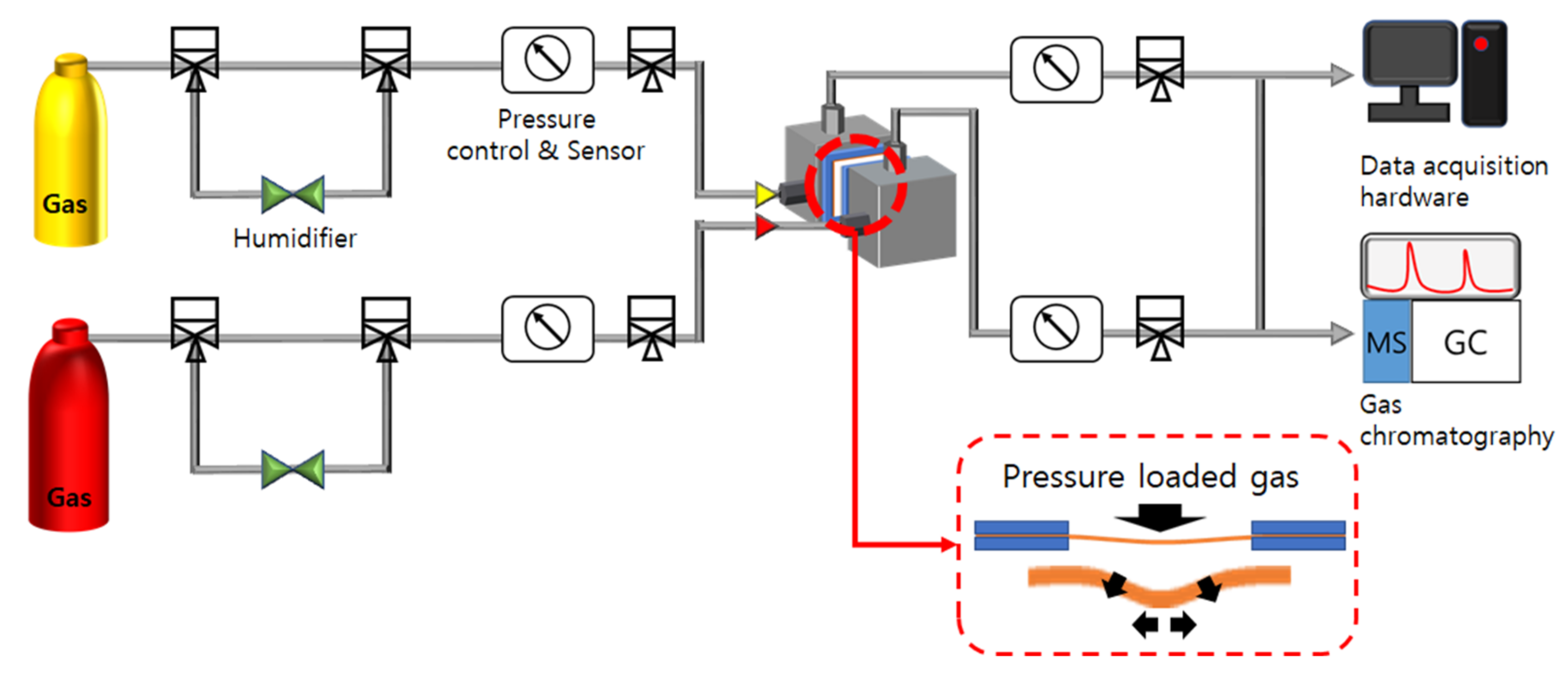 Polymers 13 04177 g001