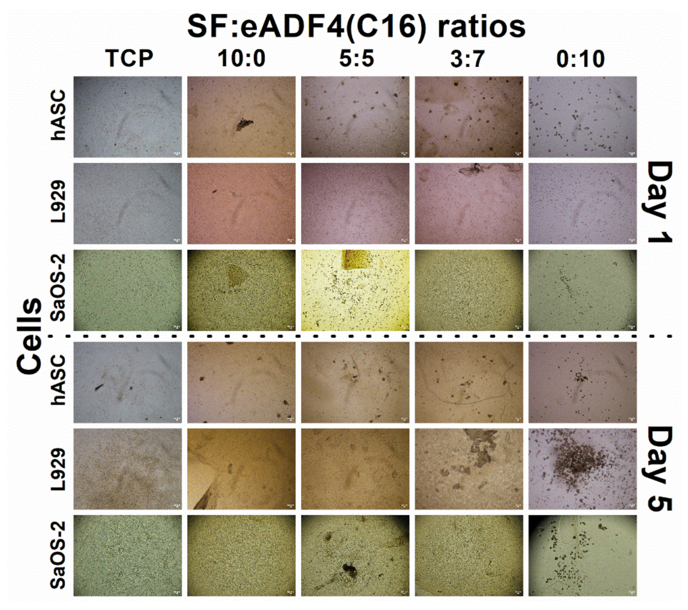 Polymers 13 04182 g005