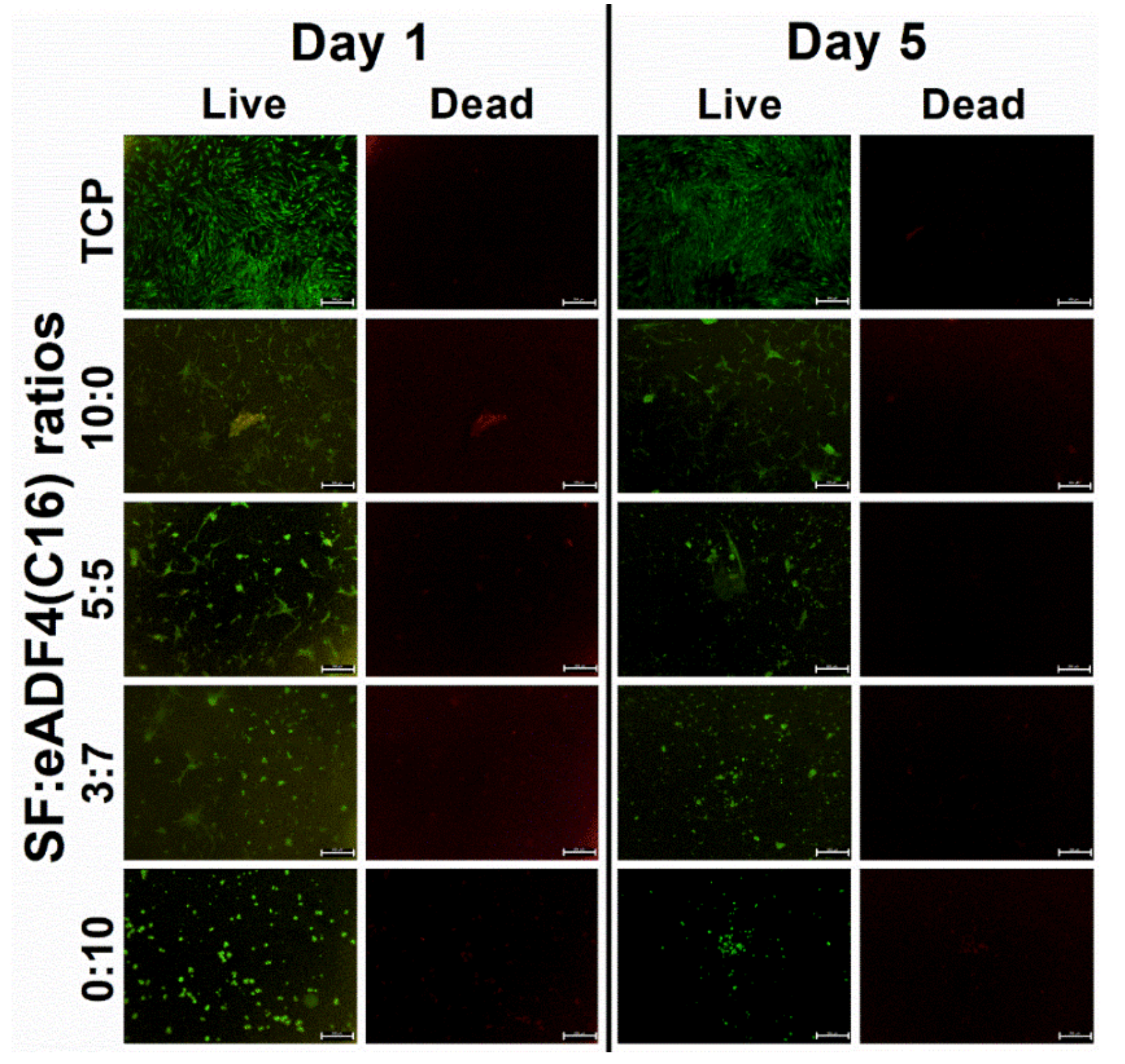Polymers 13 04182 g006