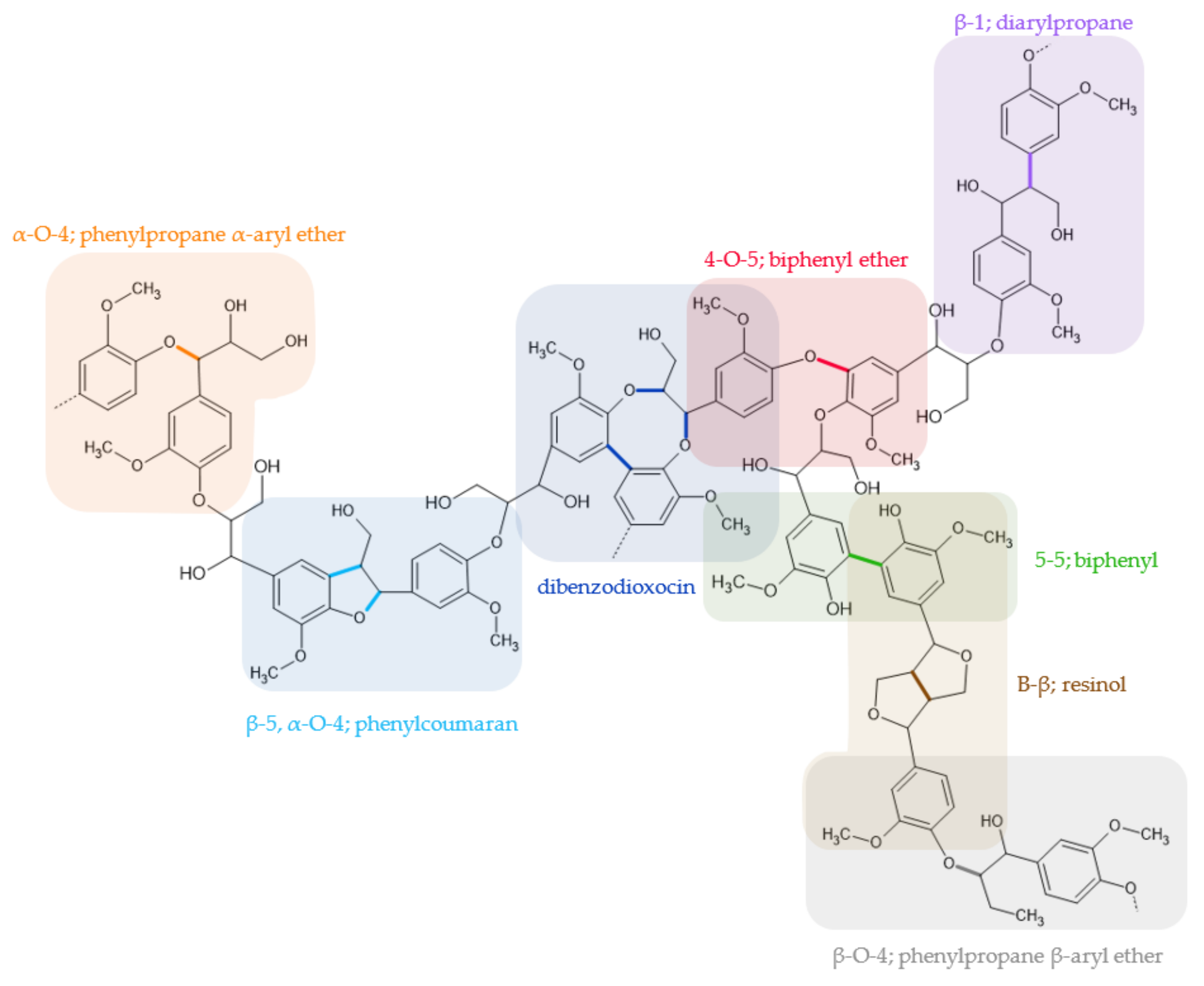 Polymers 13 04196 g002