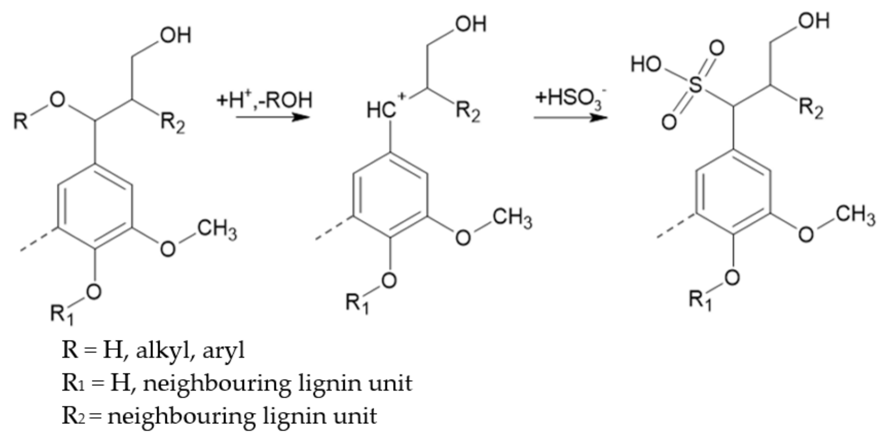 Polymers 13 04196 g004