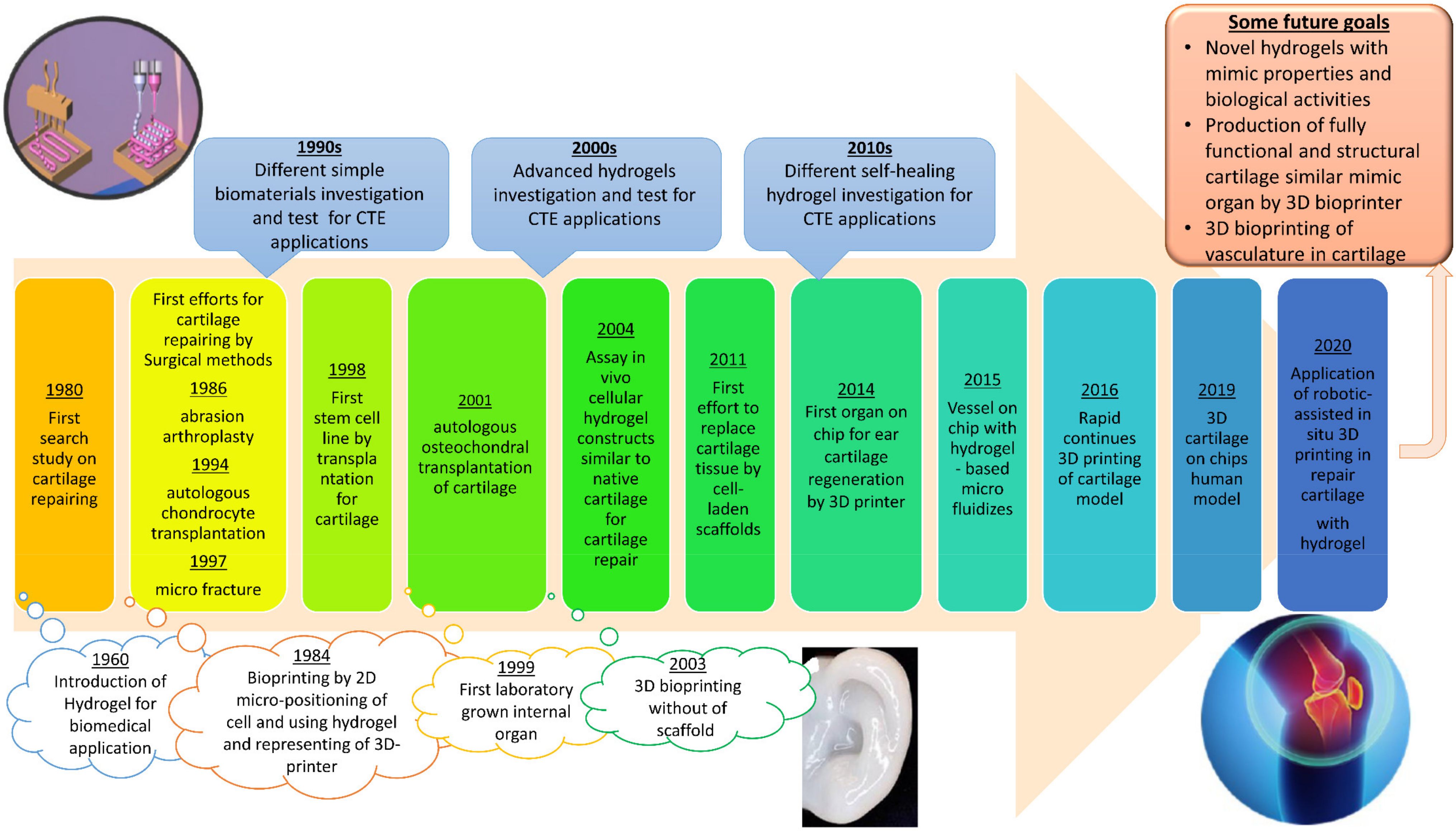 Polymers 13 04199 g001