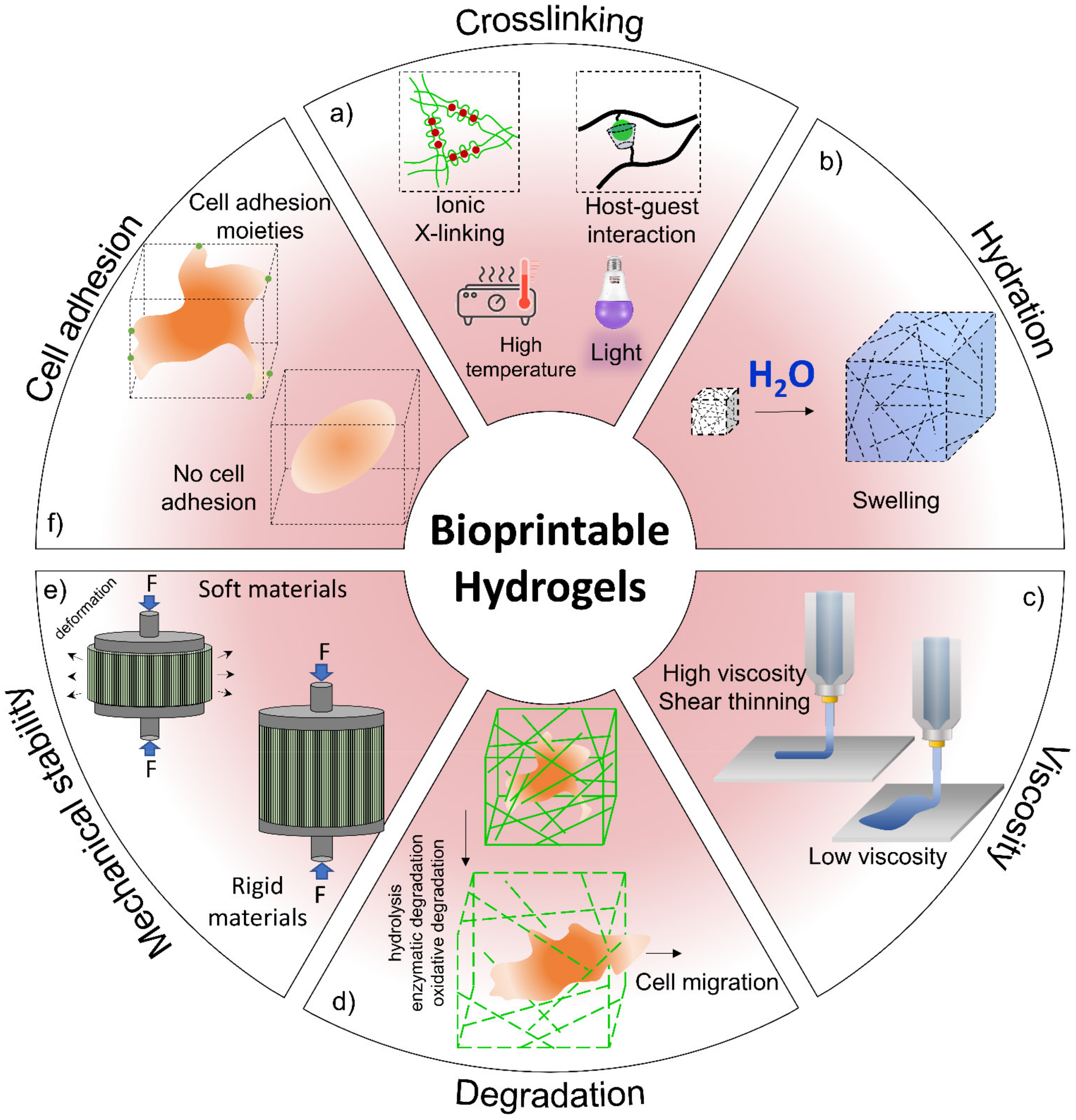 Polymers 13 04199 g009