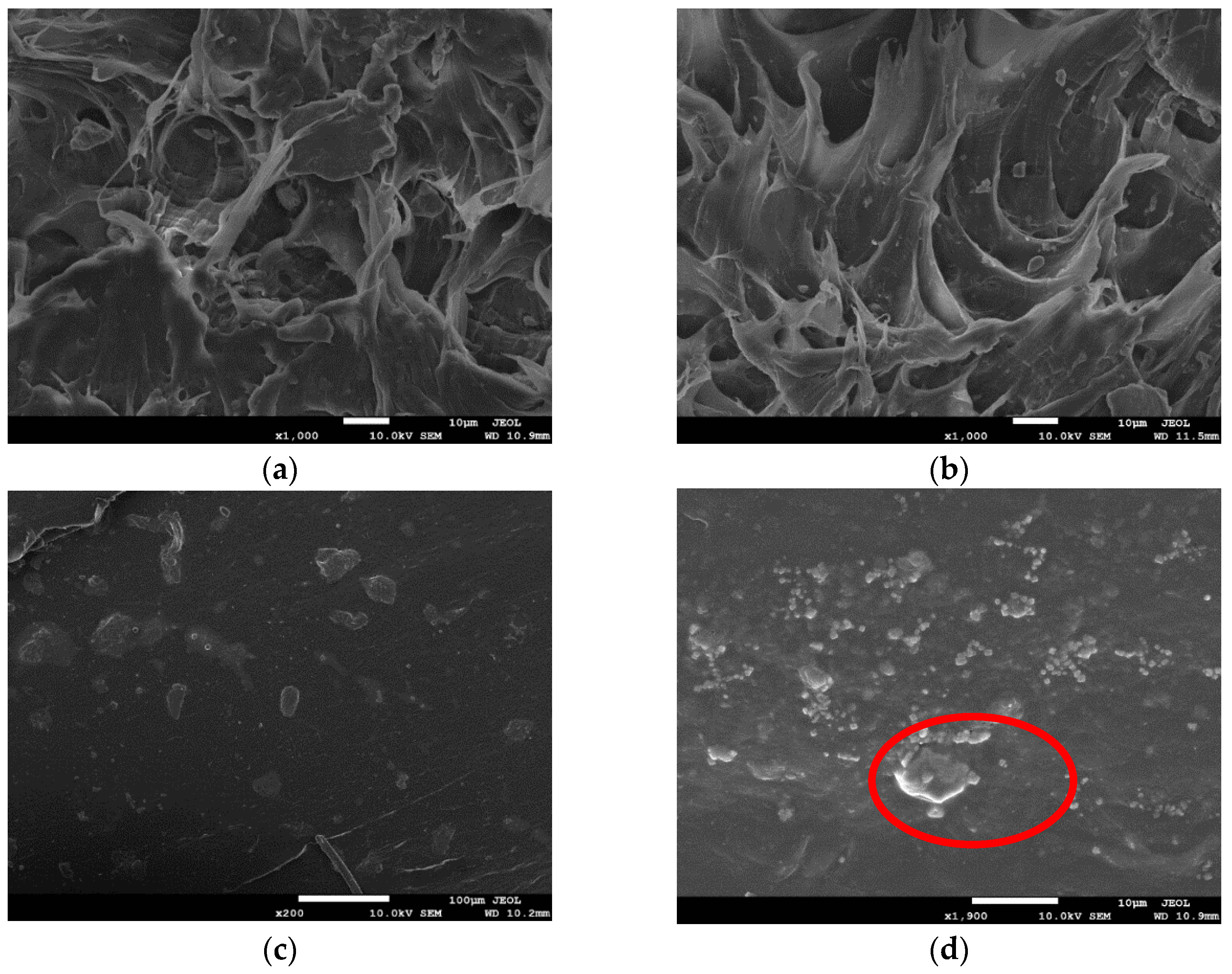 Polymers 13 04204 g008