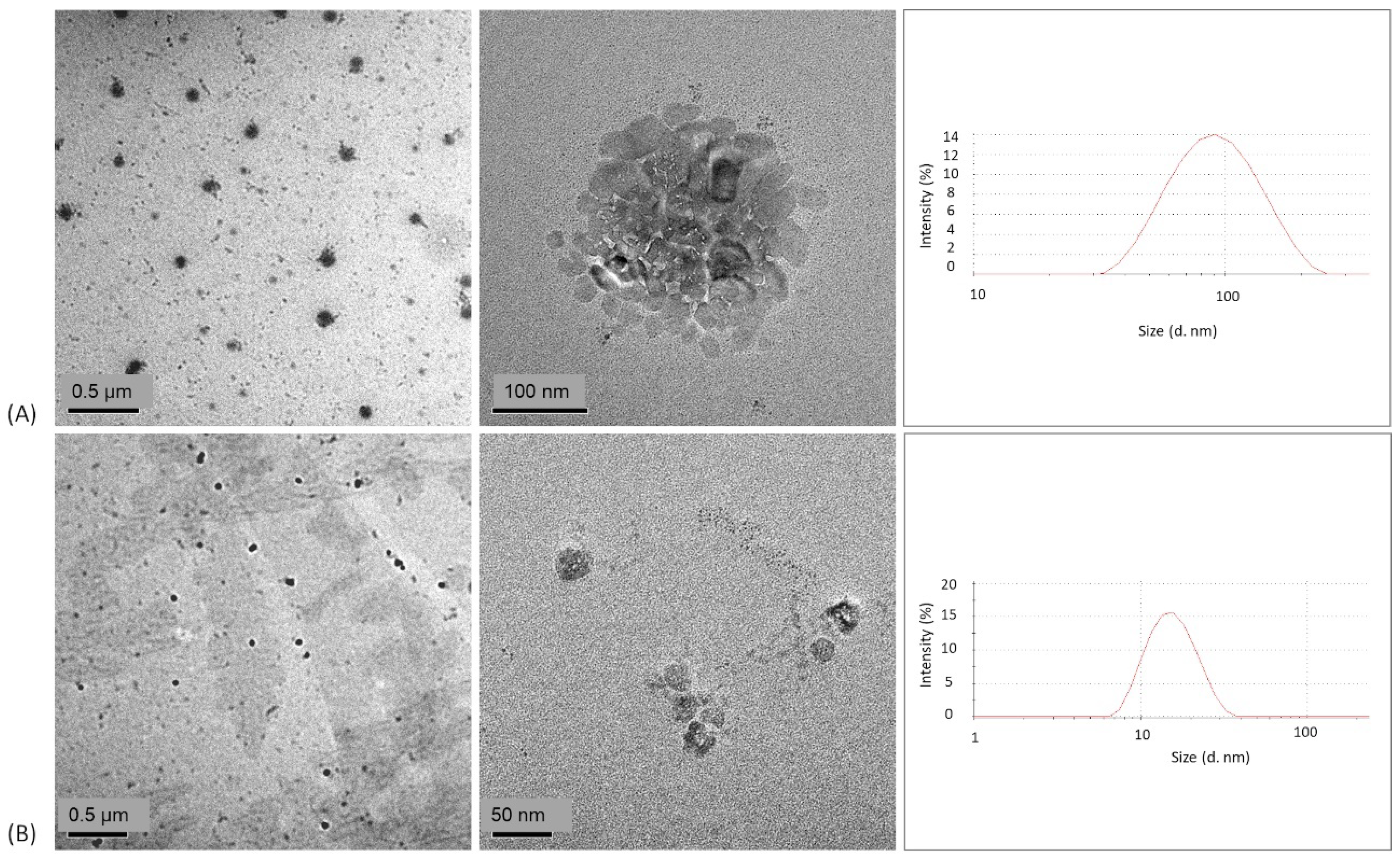 Polymers 13 04207 g005