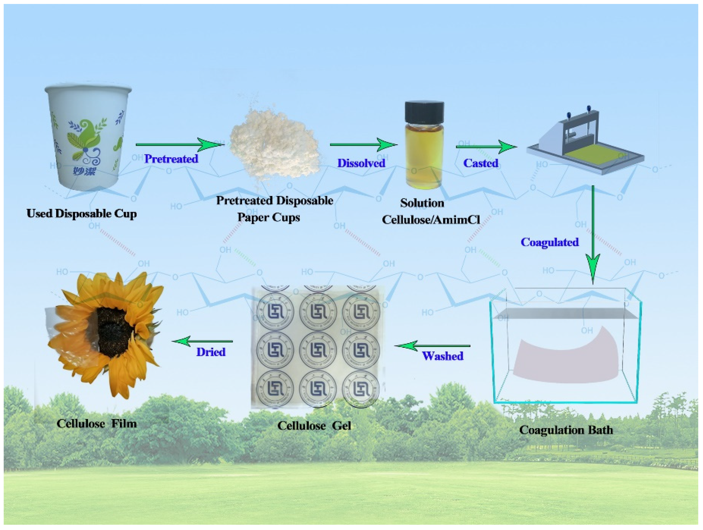 Polymers 13 04209 g001