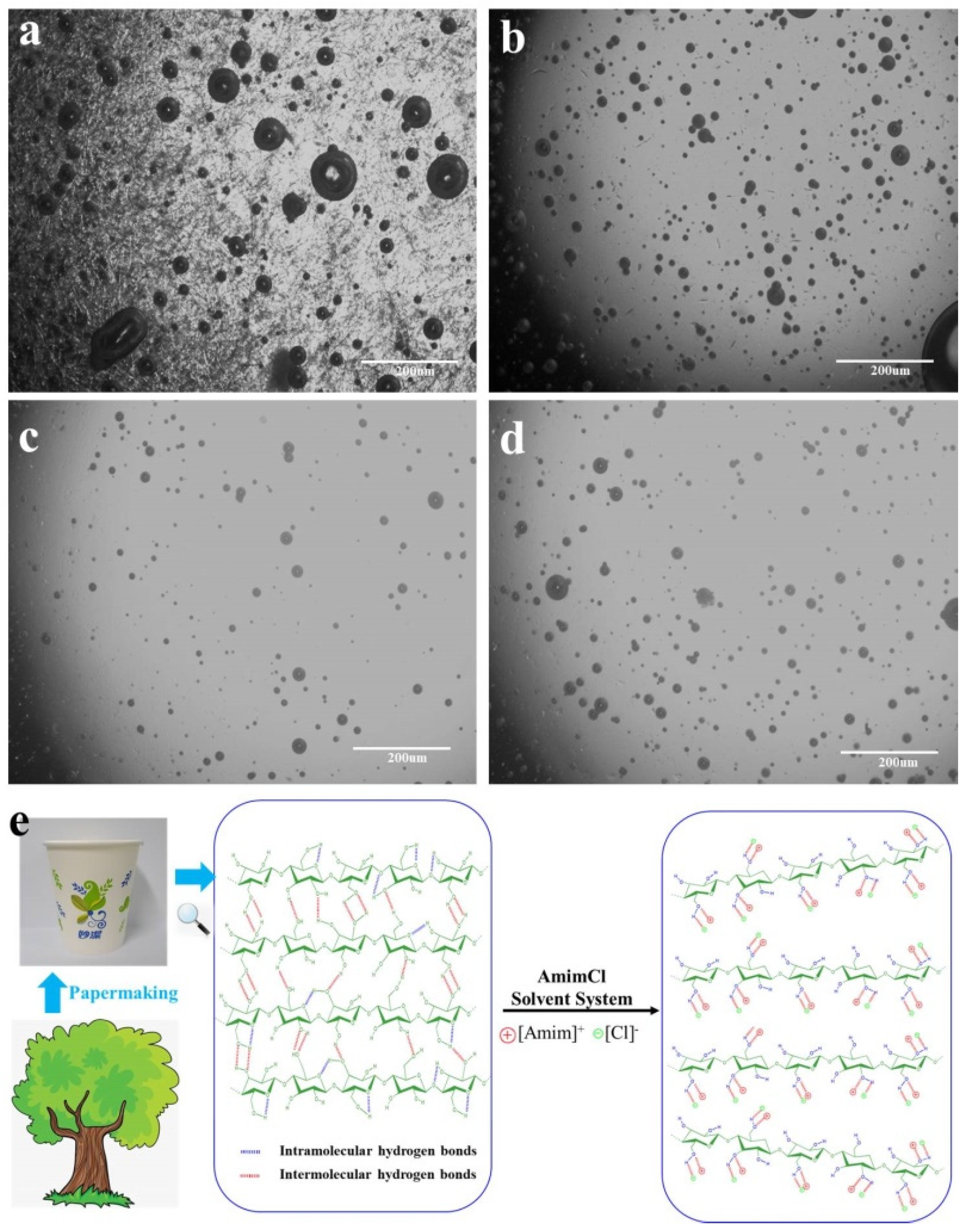 Polymers 13 04209 g003