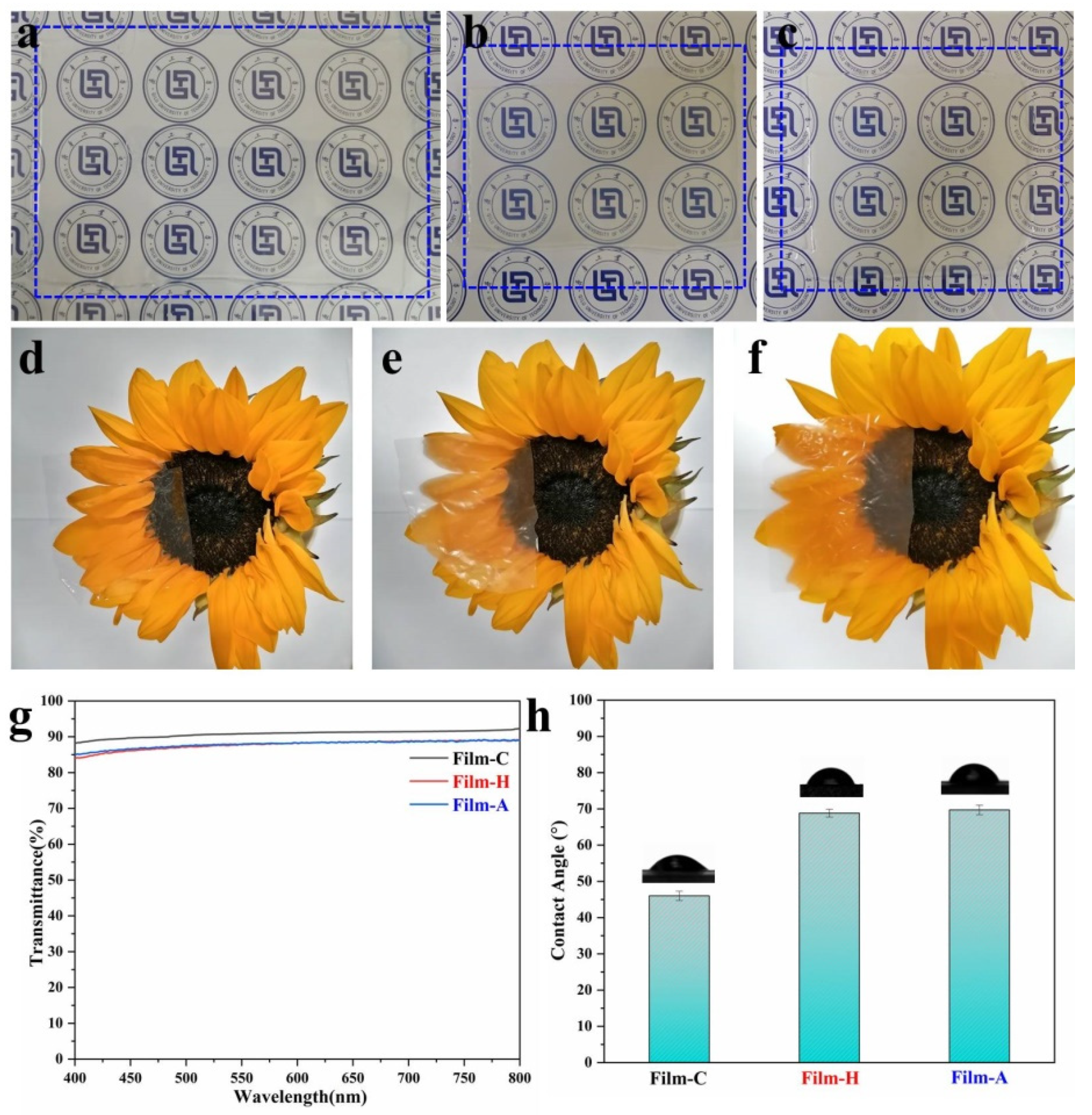 Polymers 13 04209 g004