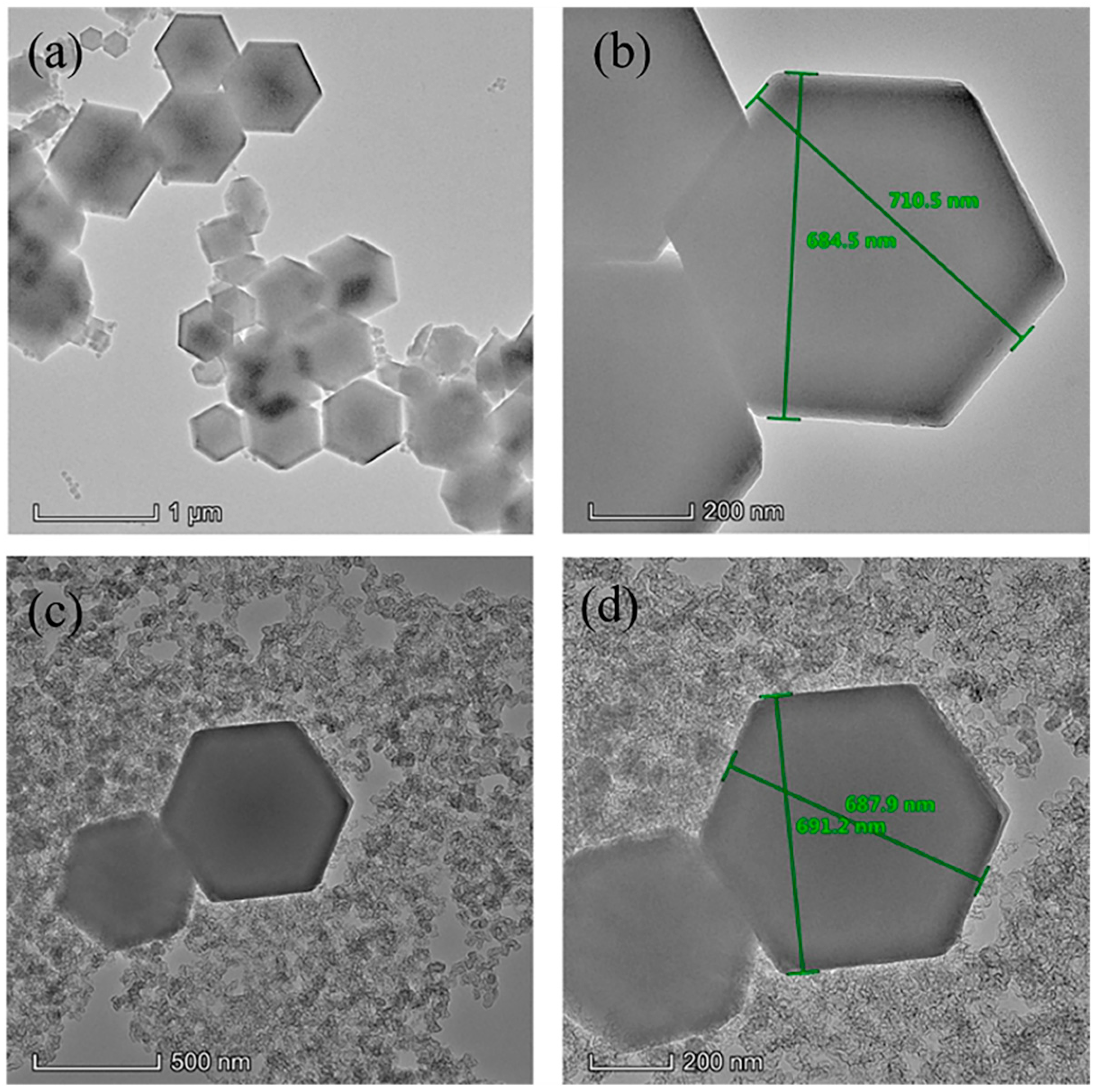 Polymers 13 04210 g003 Polymers 13 04210 g003