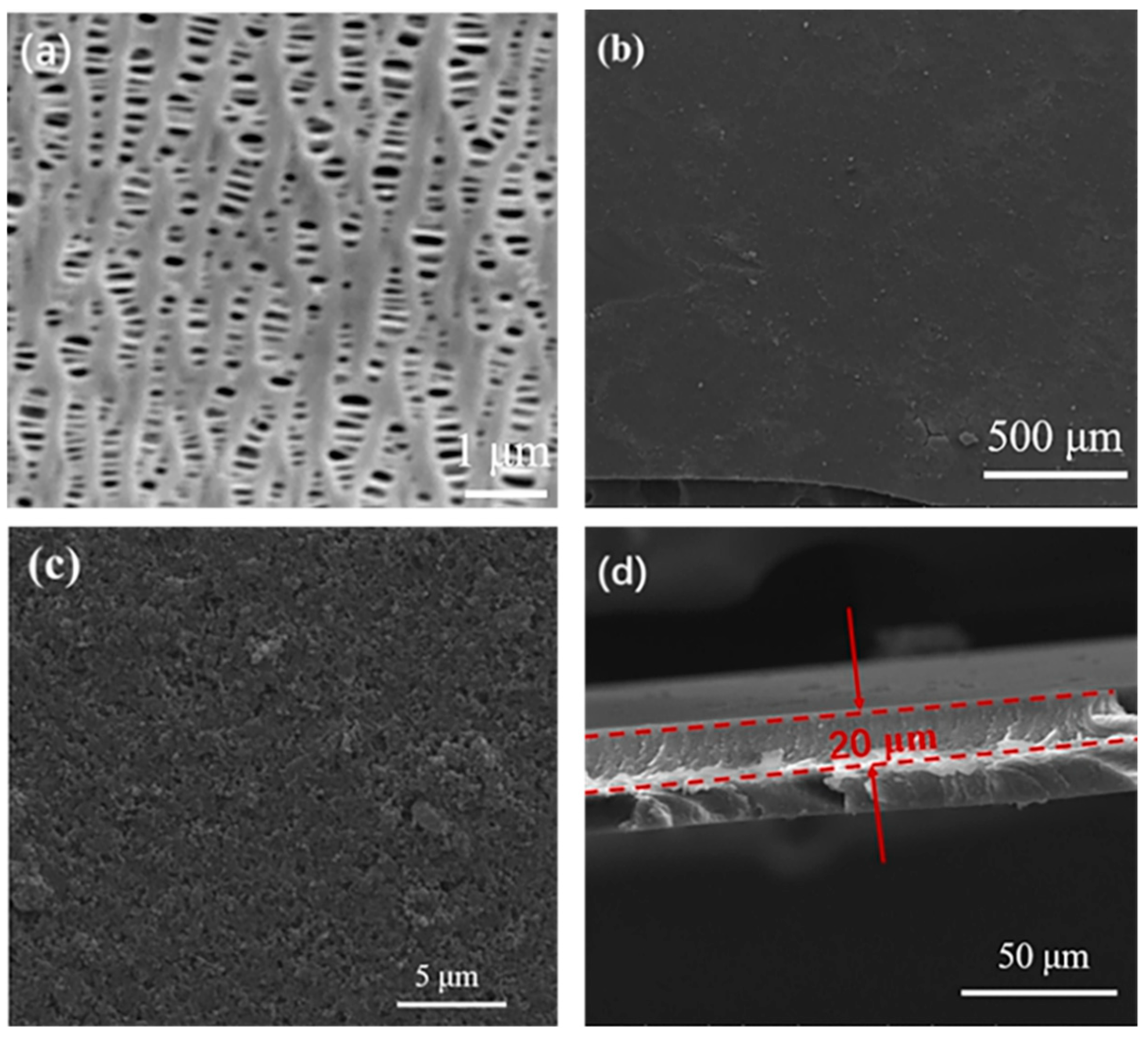 Polymers 13 04210 g004 Polymers 13 04210 g004
