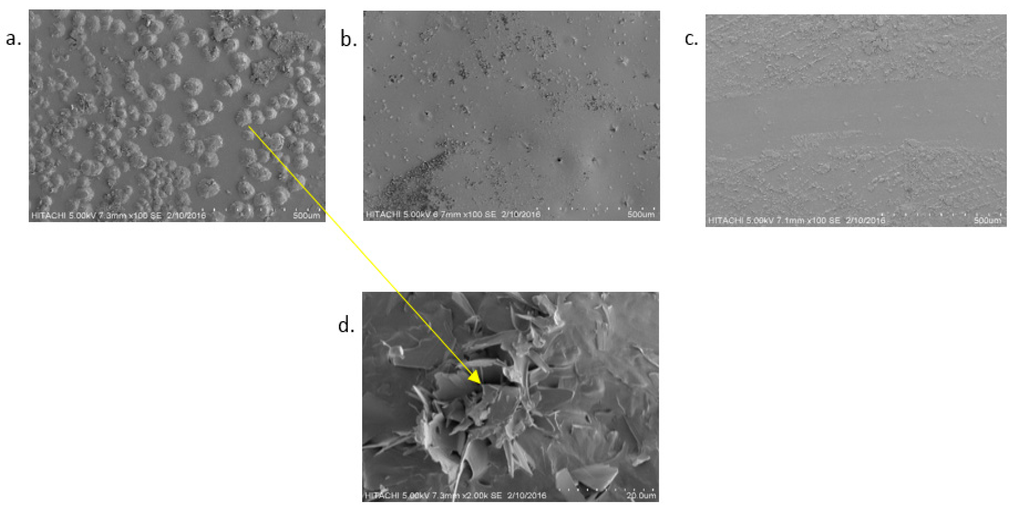 Polymers 13 04214 g006