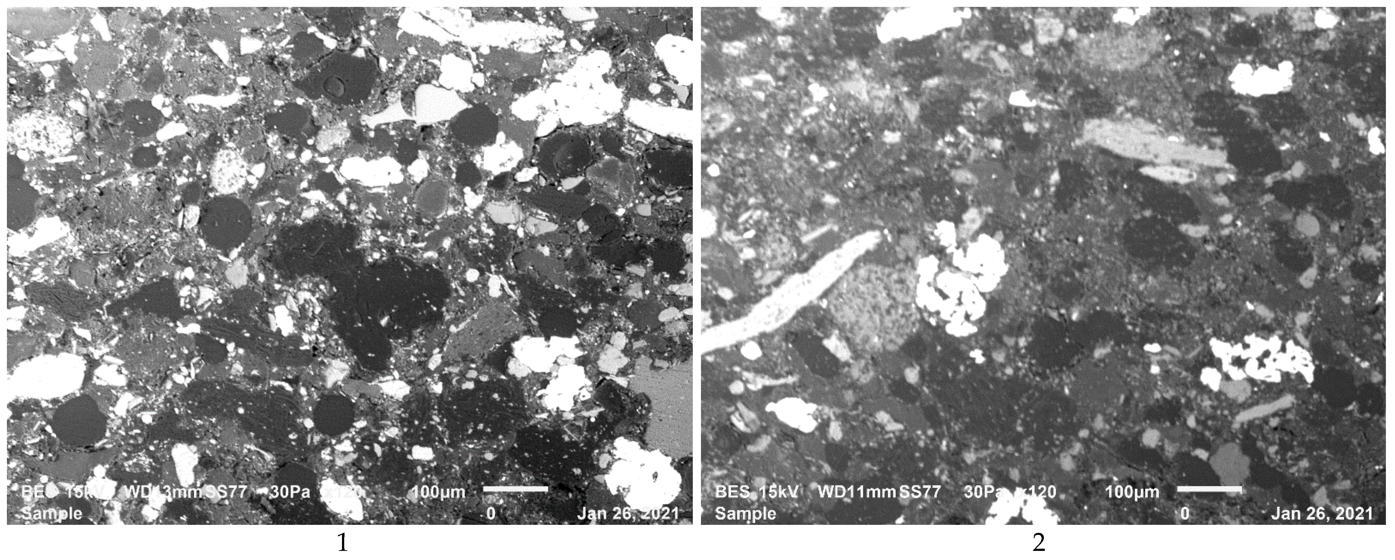 Polymers 13 04215 g002a Polymers 13 04215 g002a