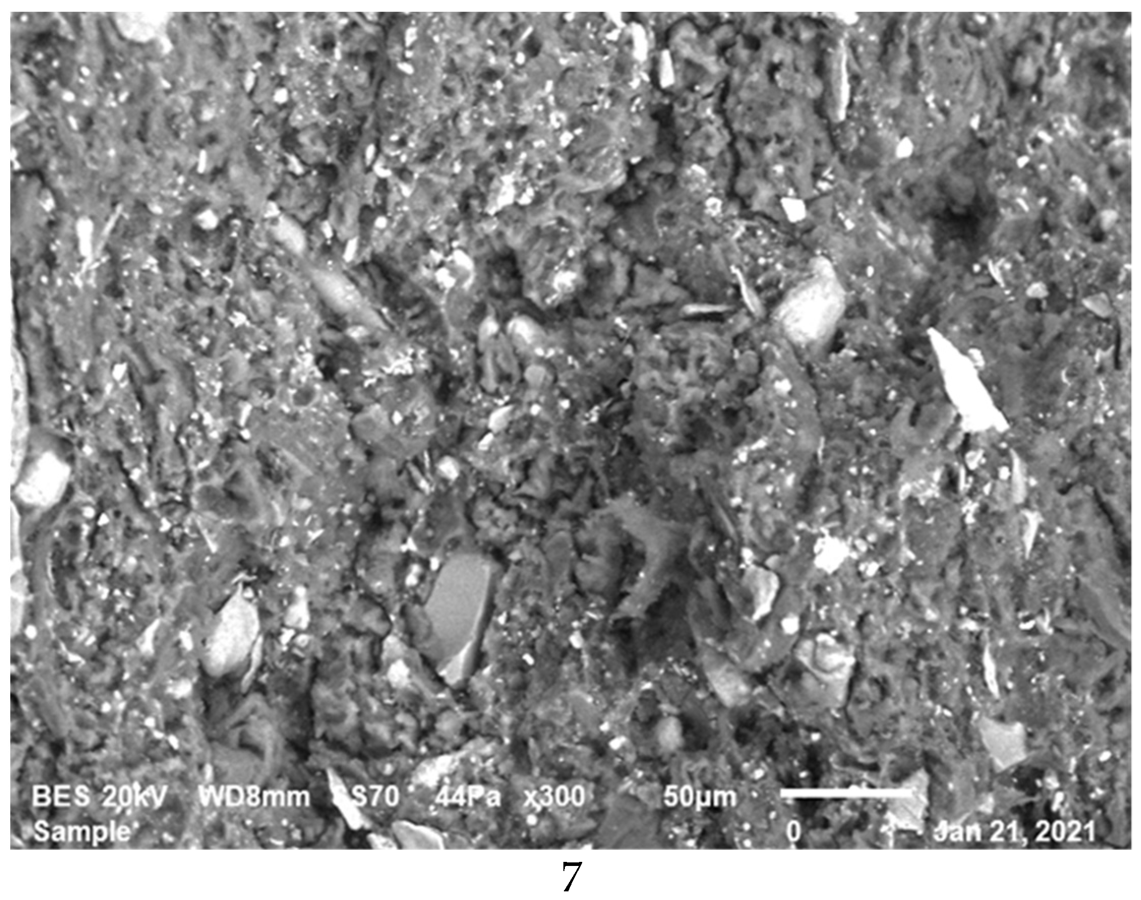 Polymers 13 04215 g007b Polymers 13 04215 g007b