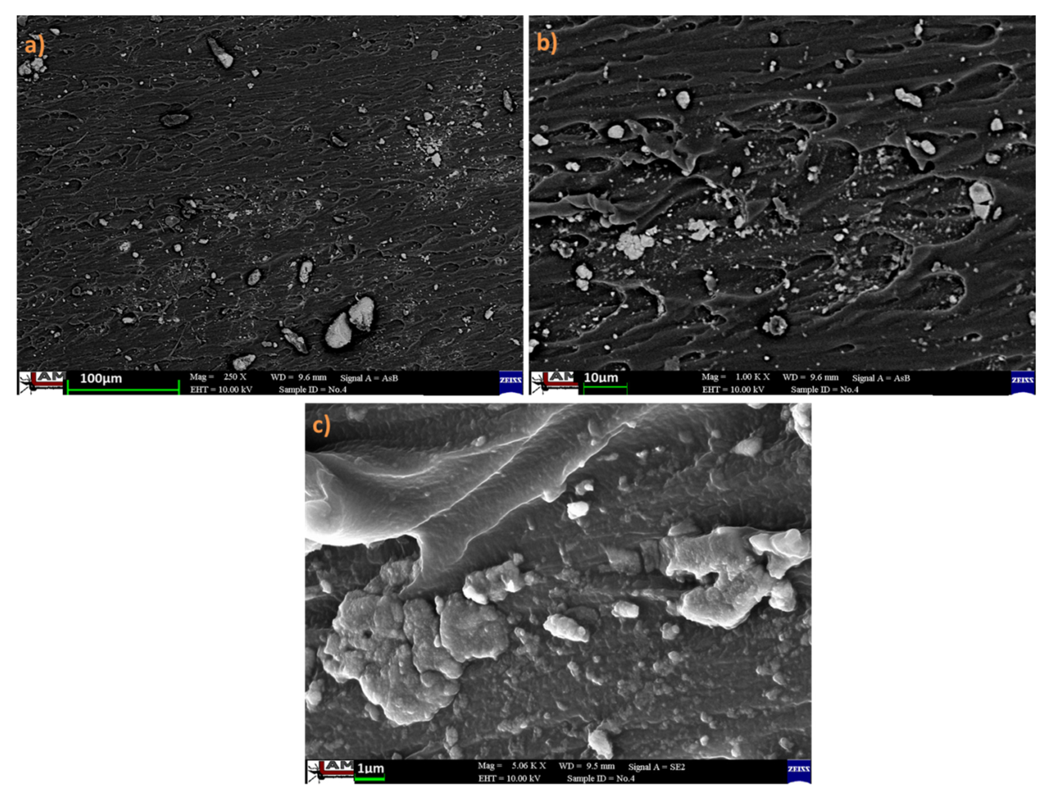 Polymers 13 04231 g005