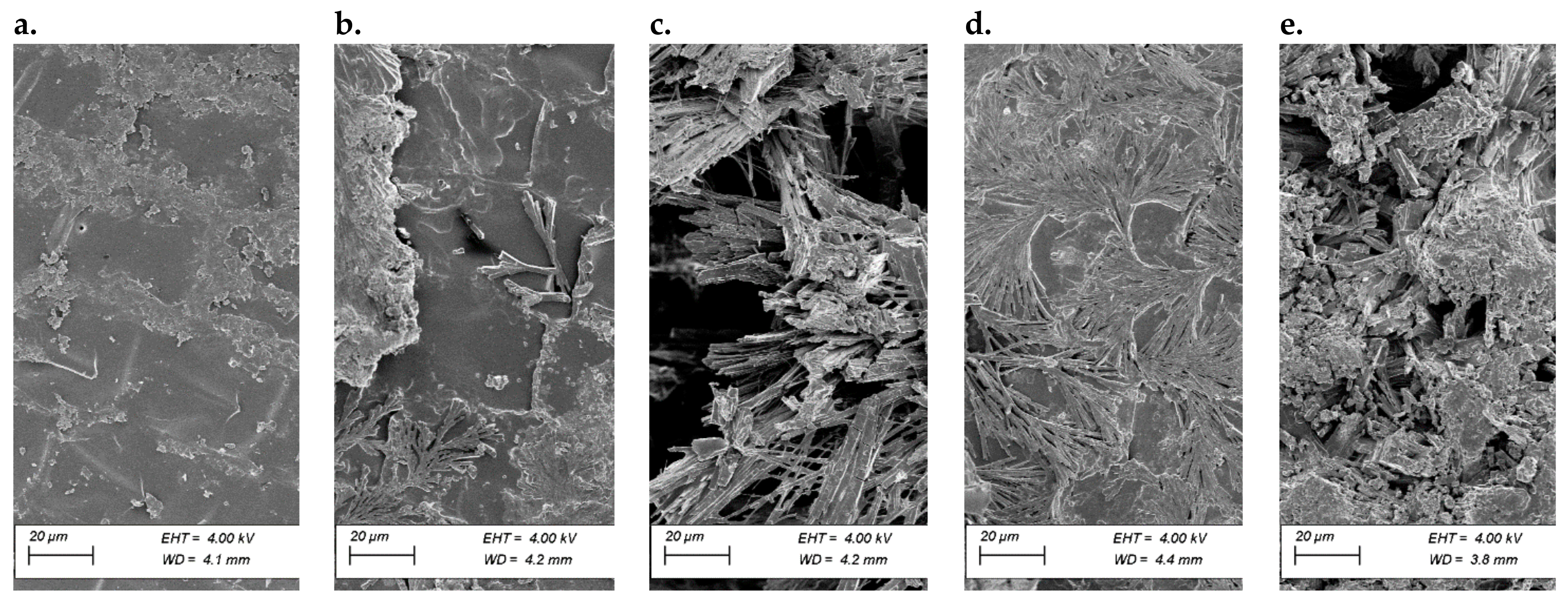Polymers 13 04233 g003 Polymers 13 04233 g003