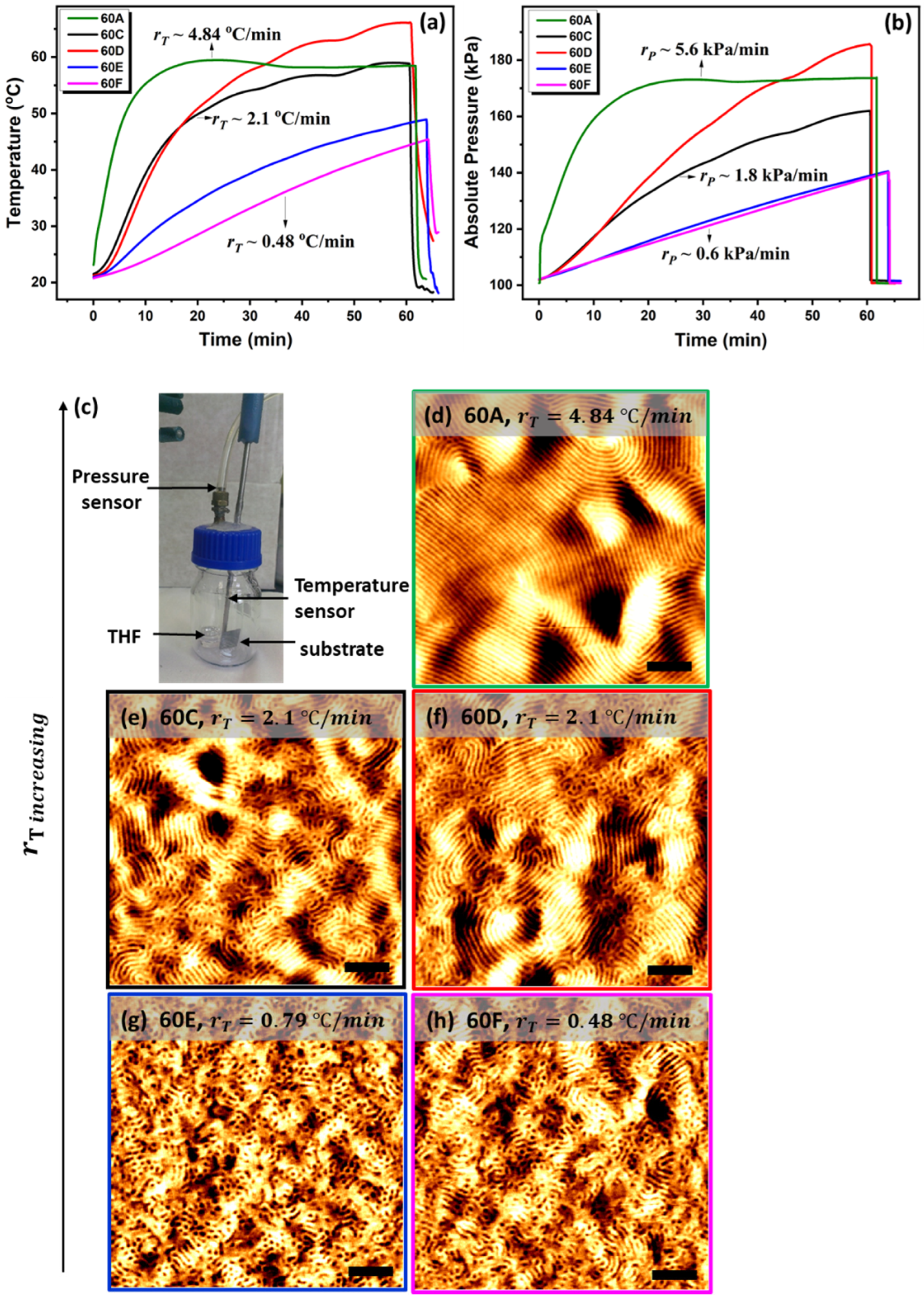 Polymers 13 04238 g002