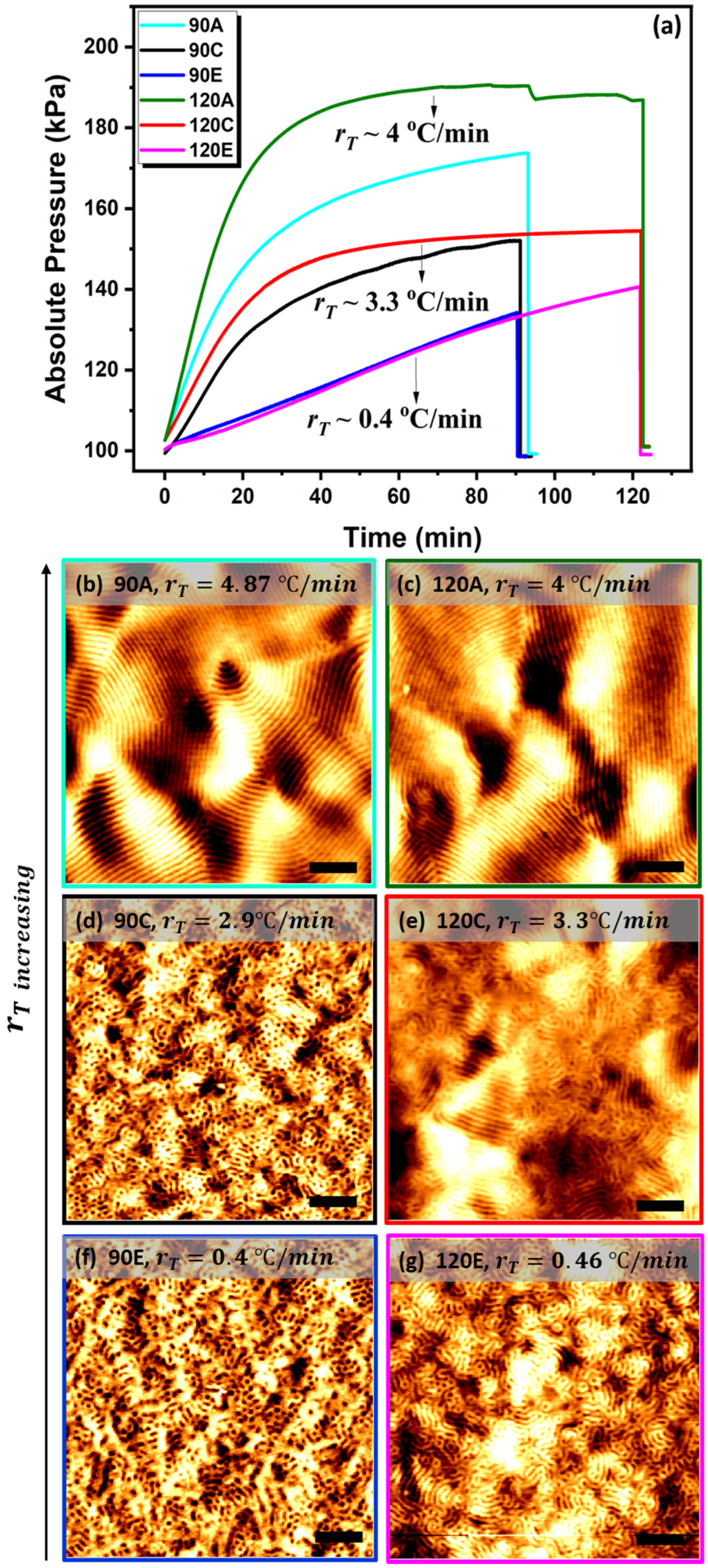 Polymers 13 04238 g003