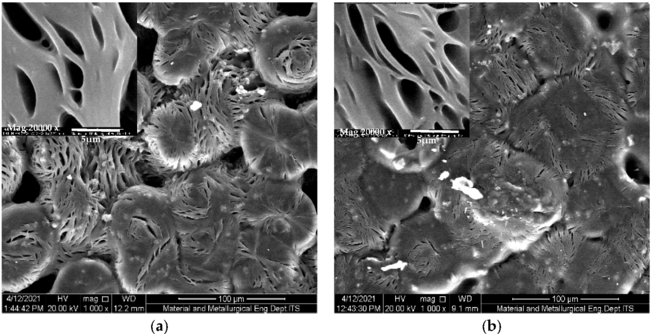 Polymers 13 04240 g005