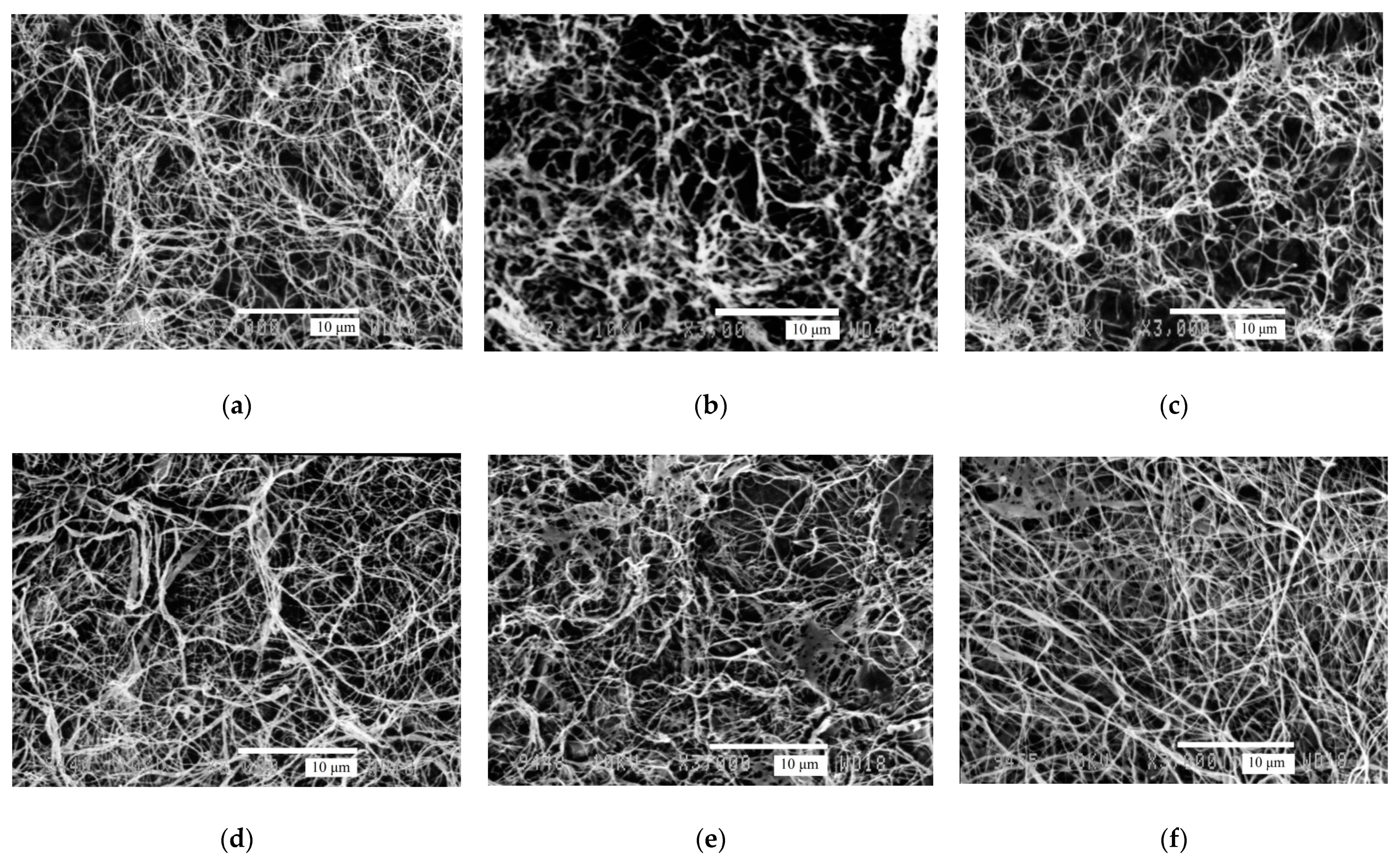 Polymers 13 04241 g003 Polymers 13 04241 g003