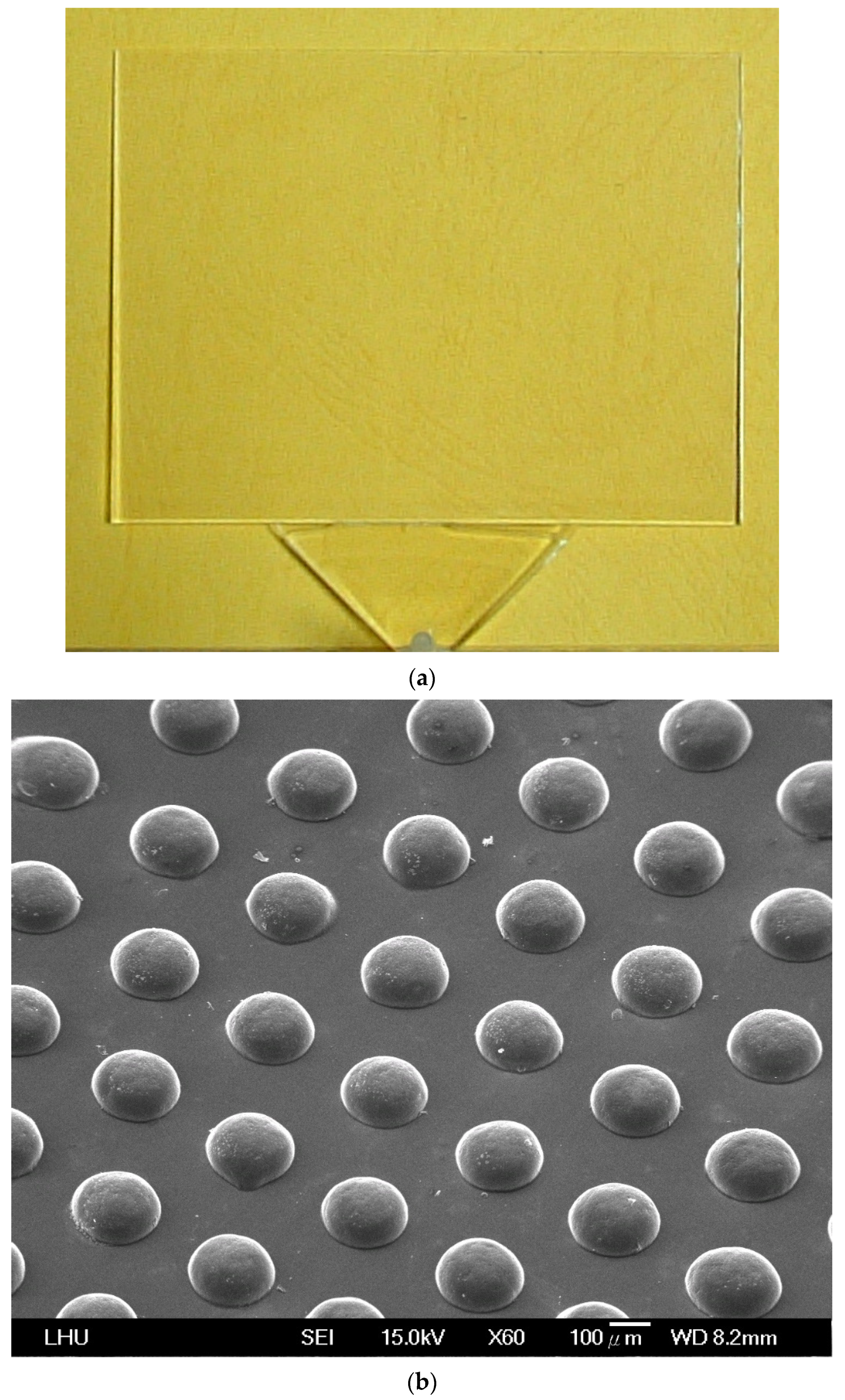 Polymers 13 04244 g010a