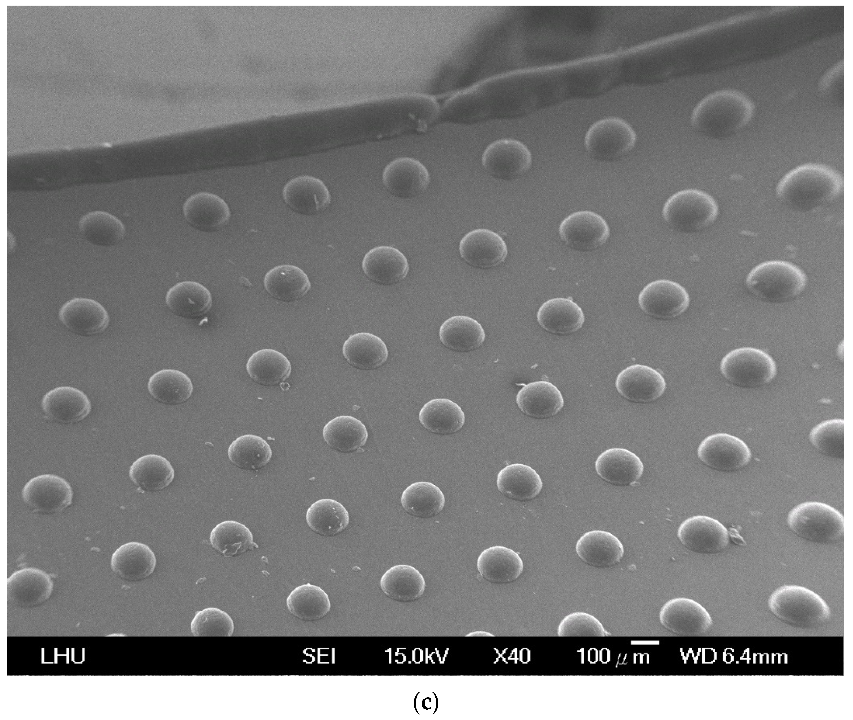 Polymers 13 04244 g010b