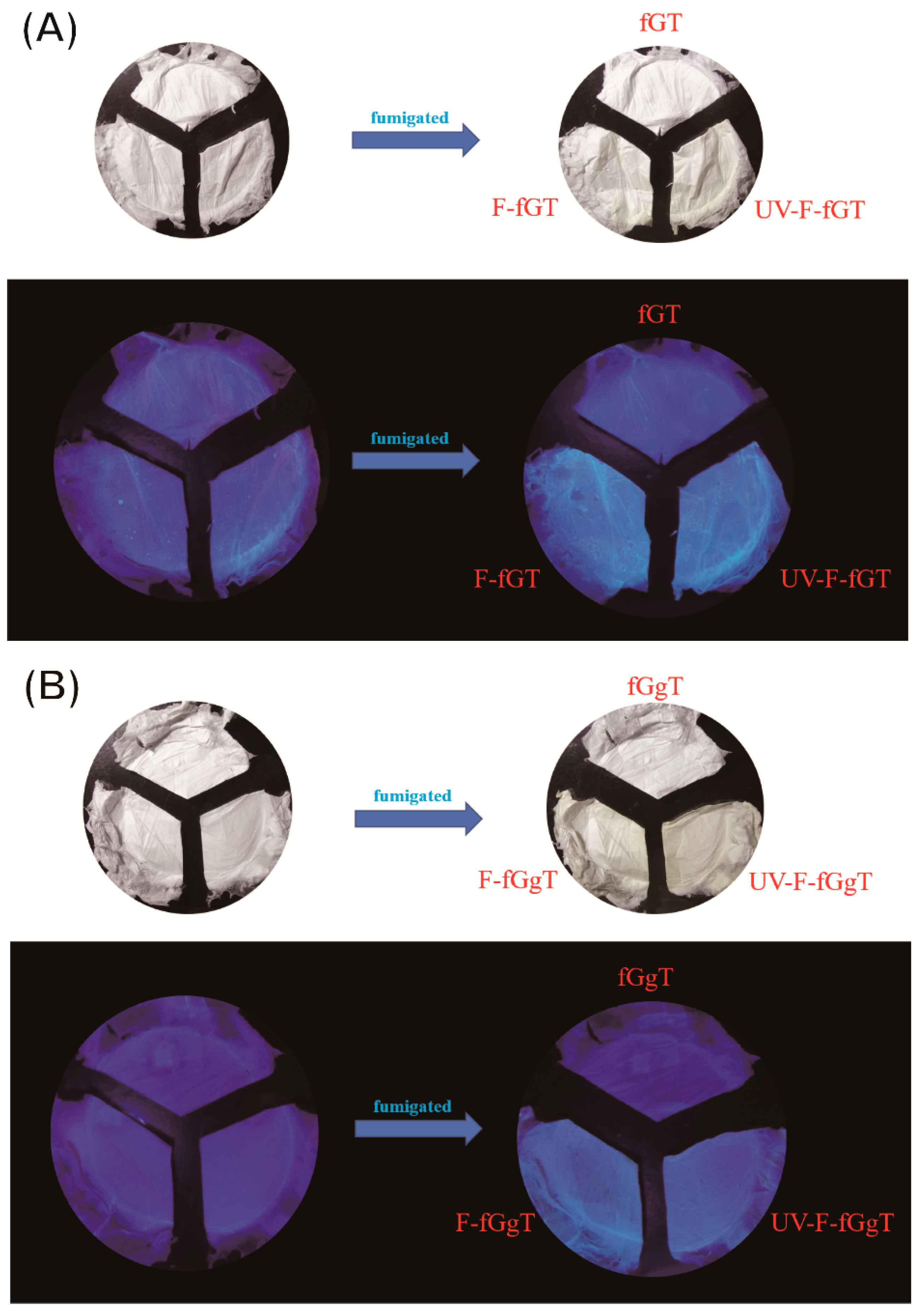 Polymers 13 04245 g005 Polymers 13 04245 g005