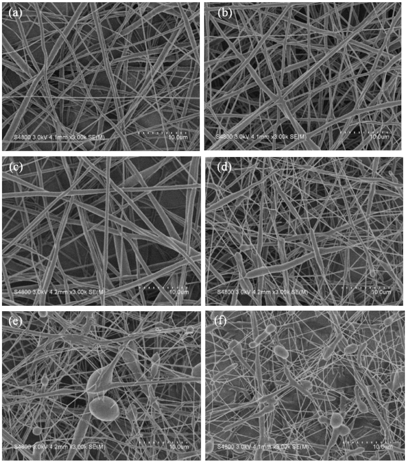 Polymers 13 04246 g003