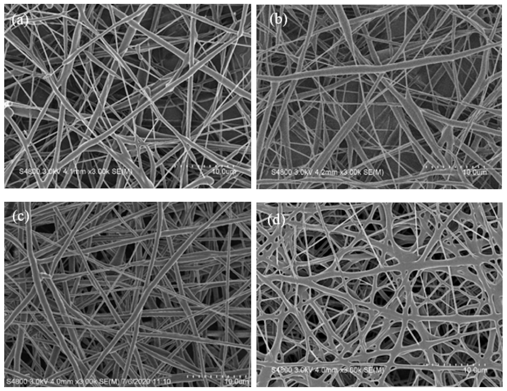 Polymers 13 04246 g004