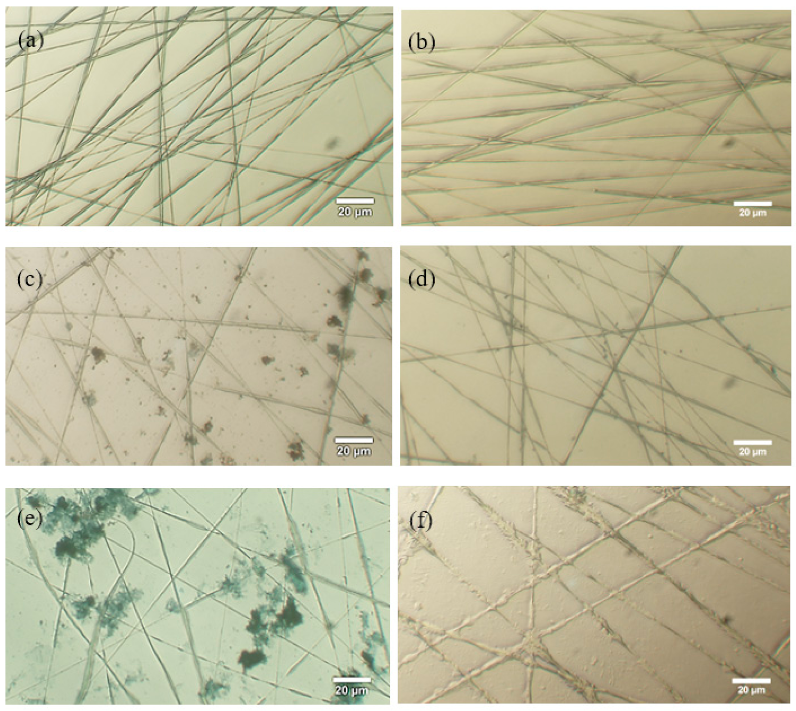 Polymers 13 04246 g006