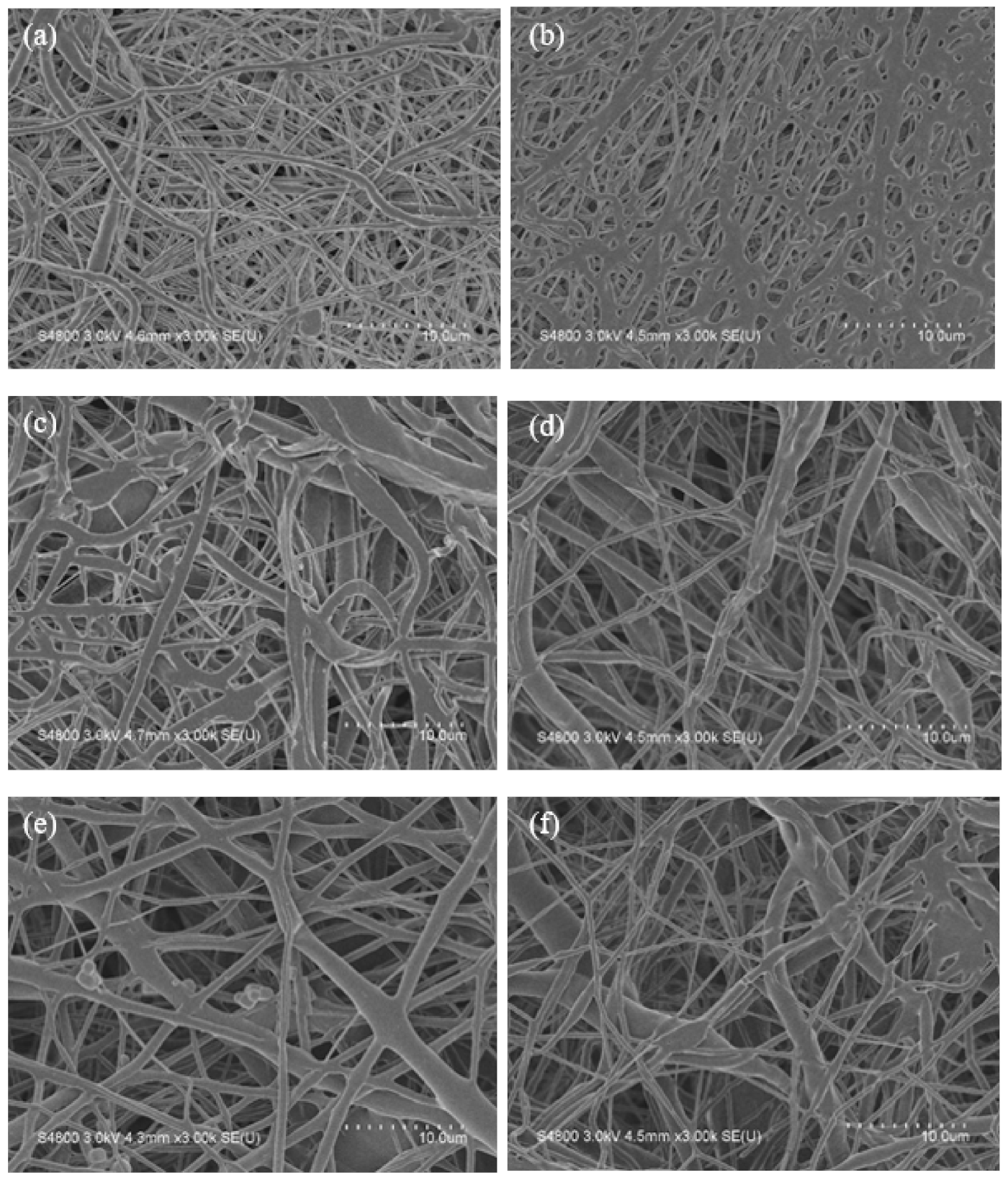 Polymers 13 04246 g007