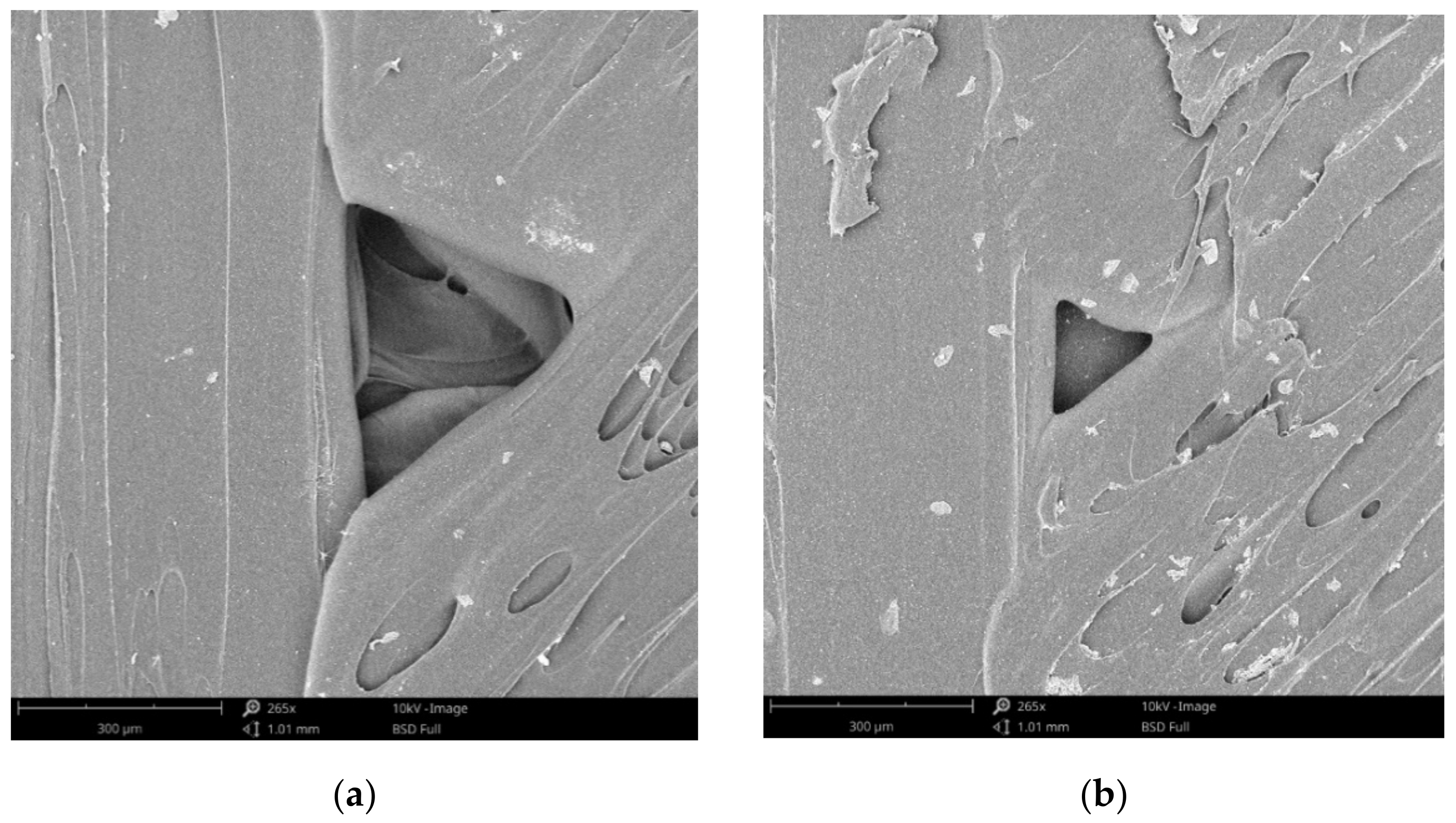 Polymers 13 04249 g009a